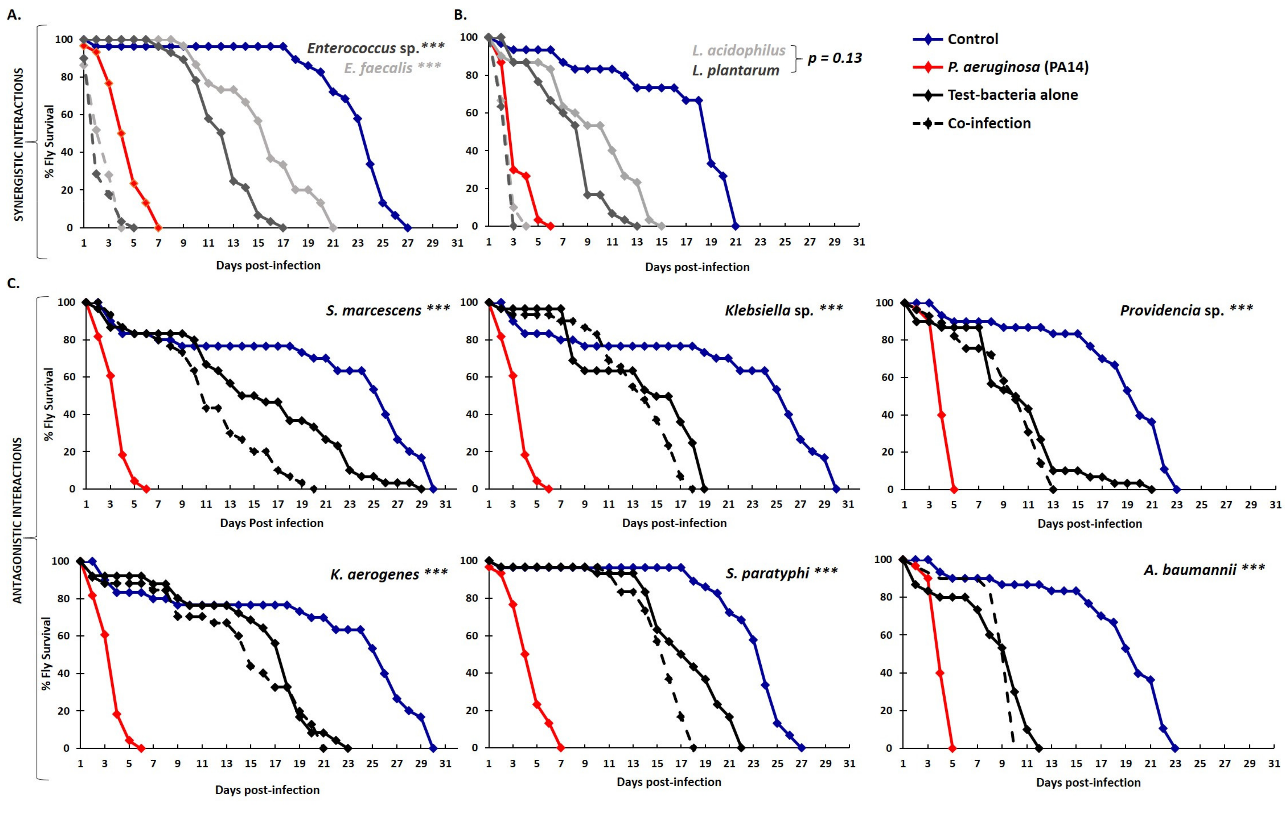 Metabolites 12 00449 g003