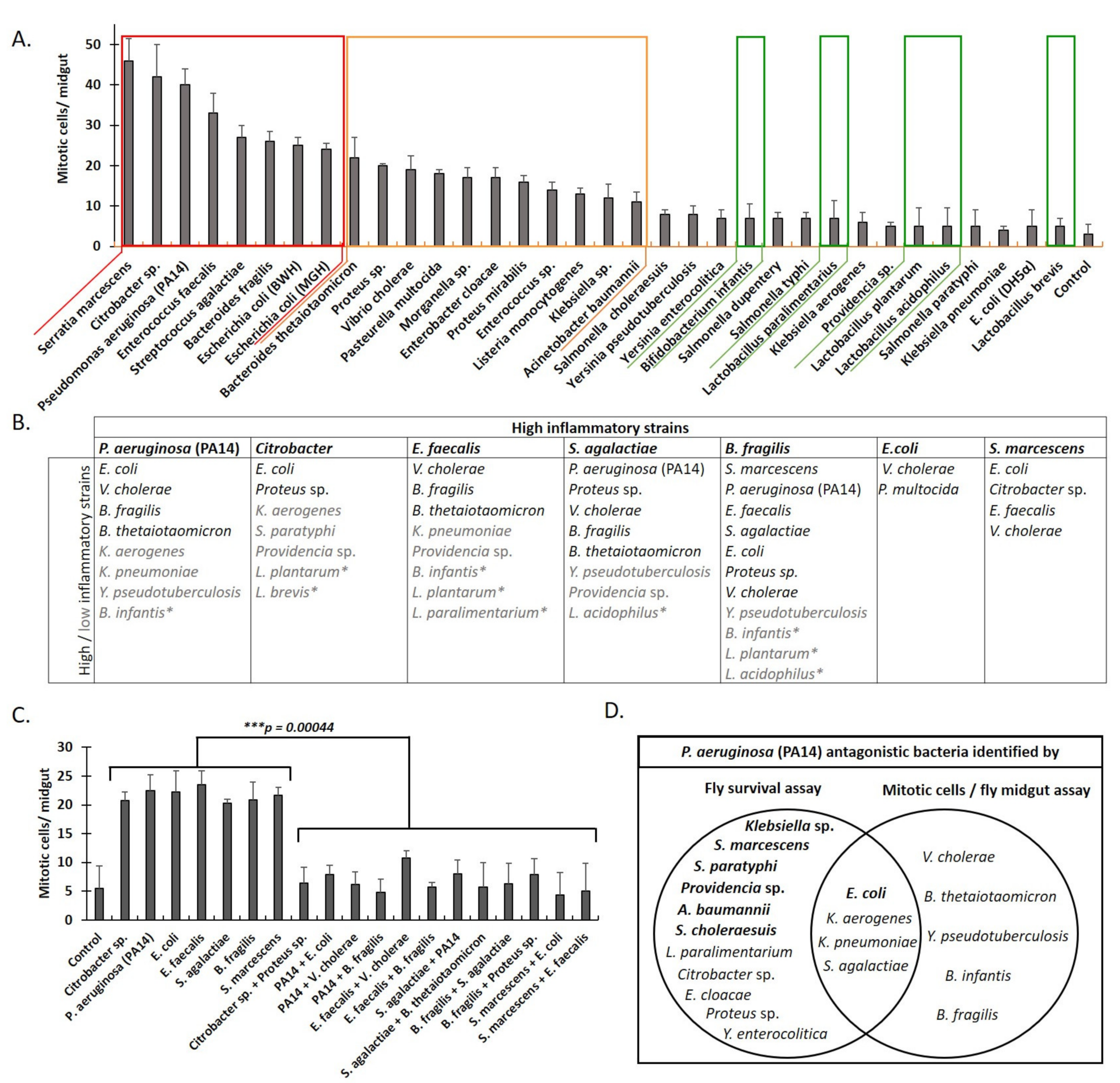 Metabolites 12 00449 g004