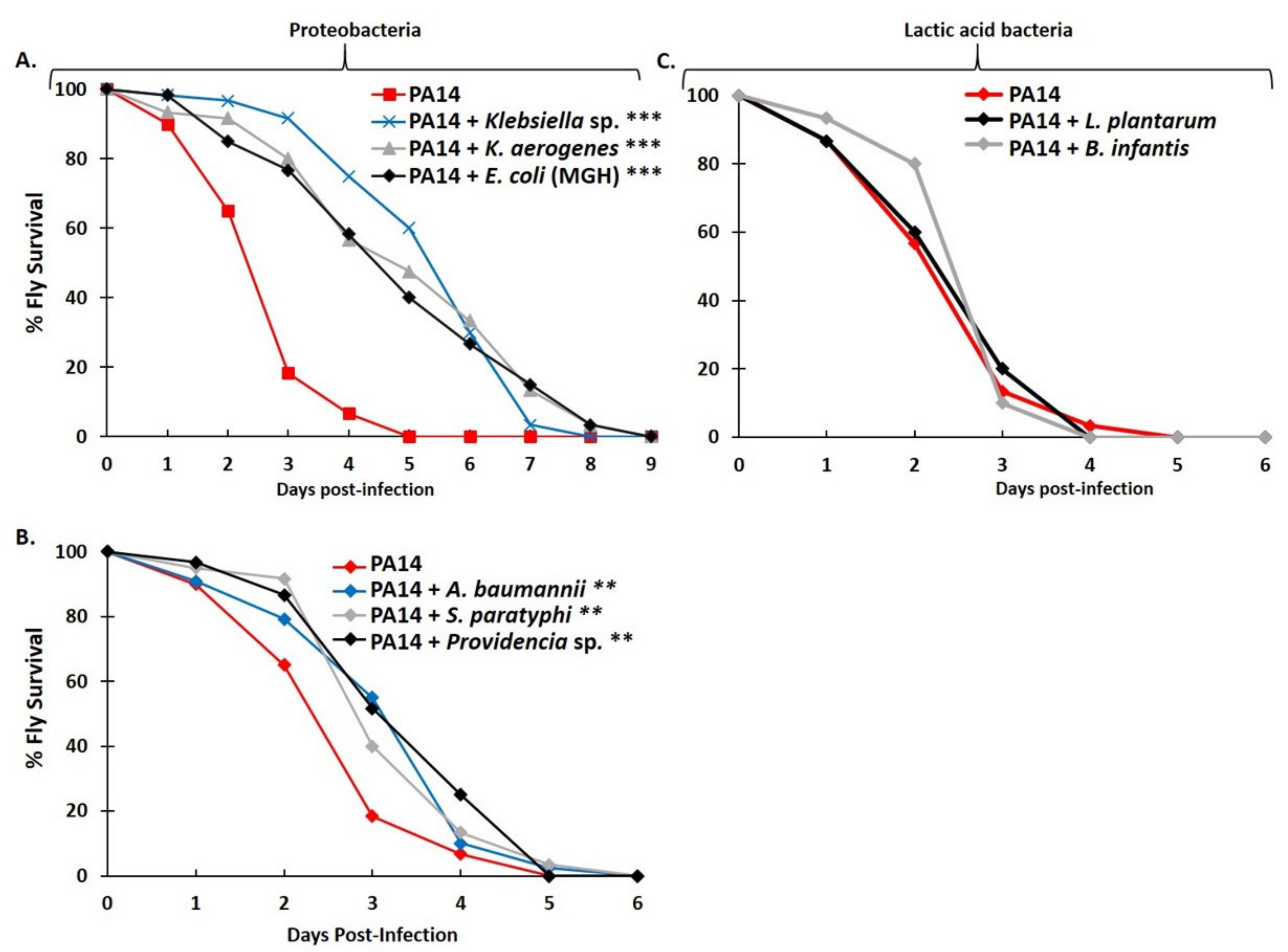 Metabolites 12 00449 g006