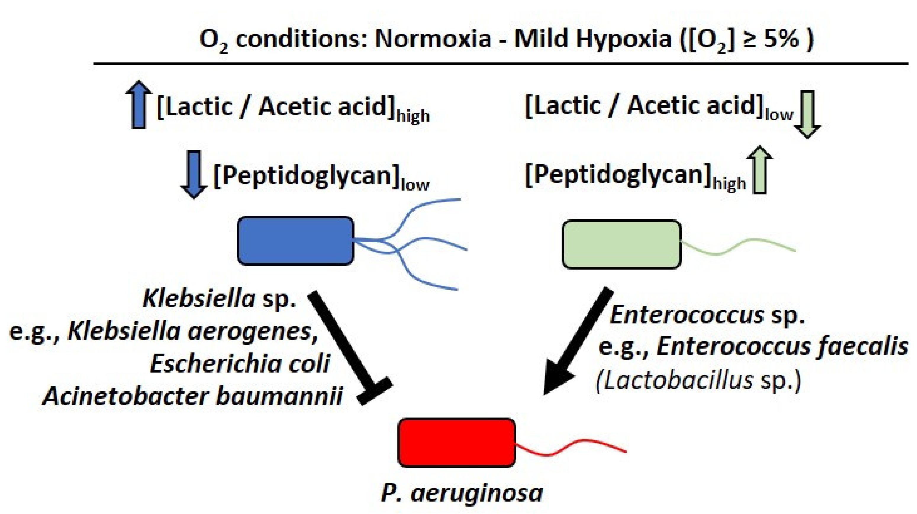 Metabolites 12 00449 g008