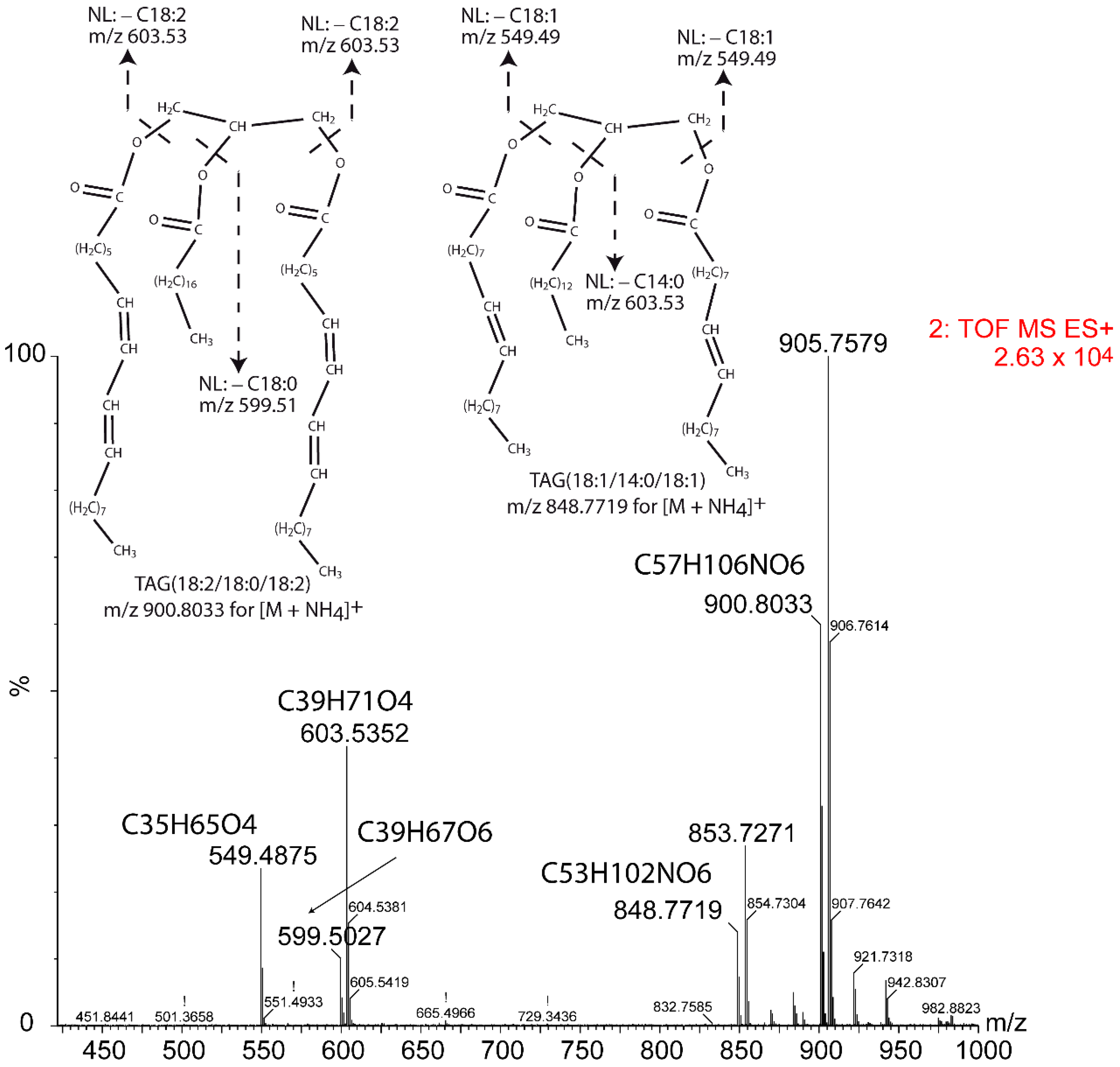 Metabolites 12 00452 g007