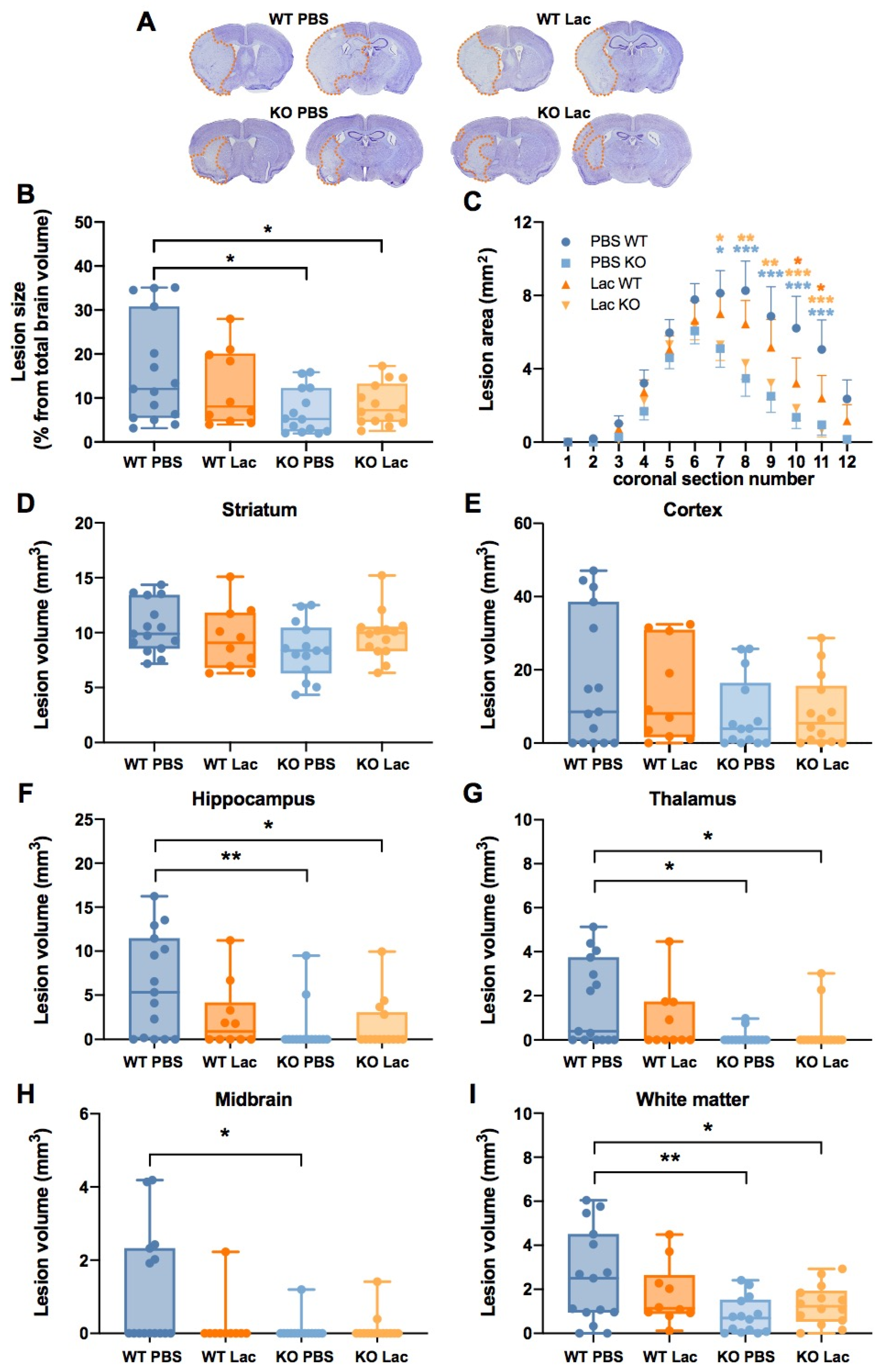 Metabolites 12 00465 g001