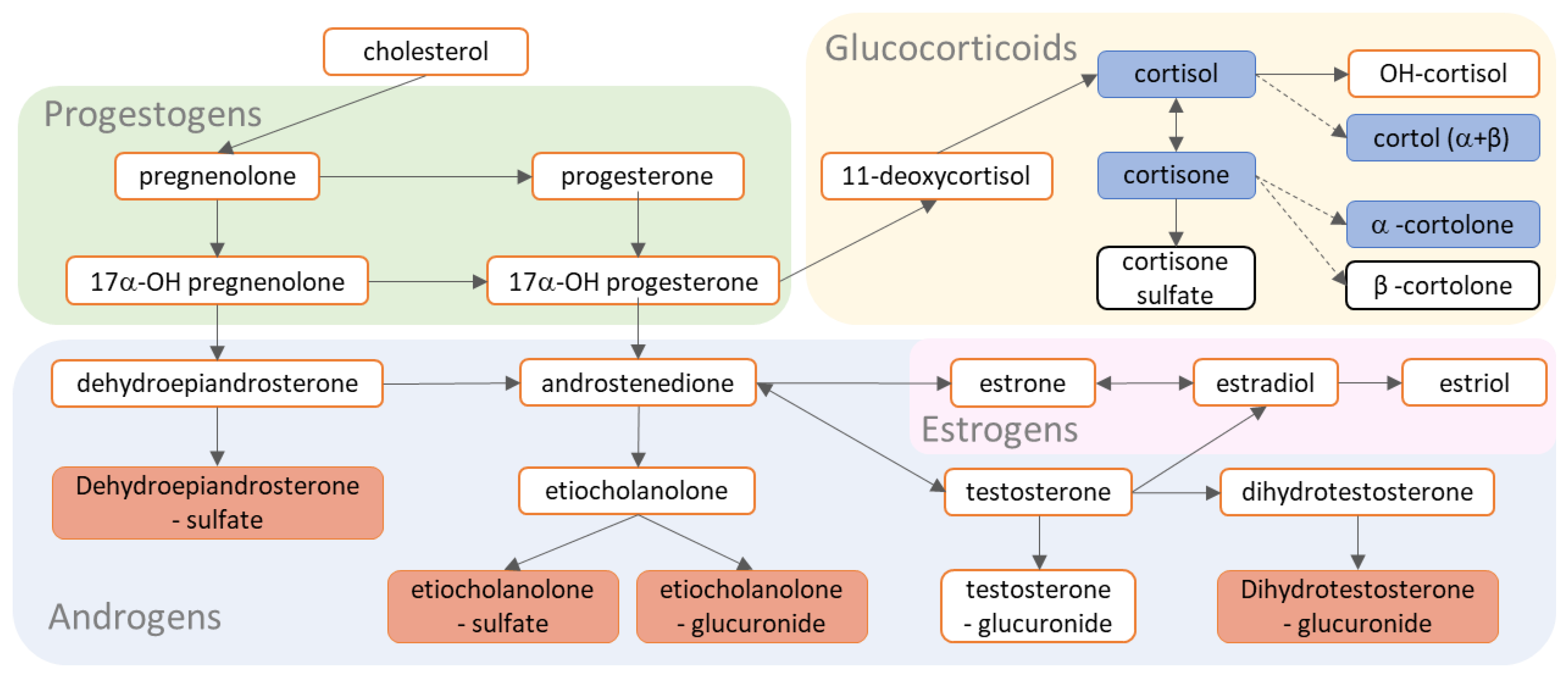 Metabolites 12 00474 g004