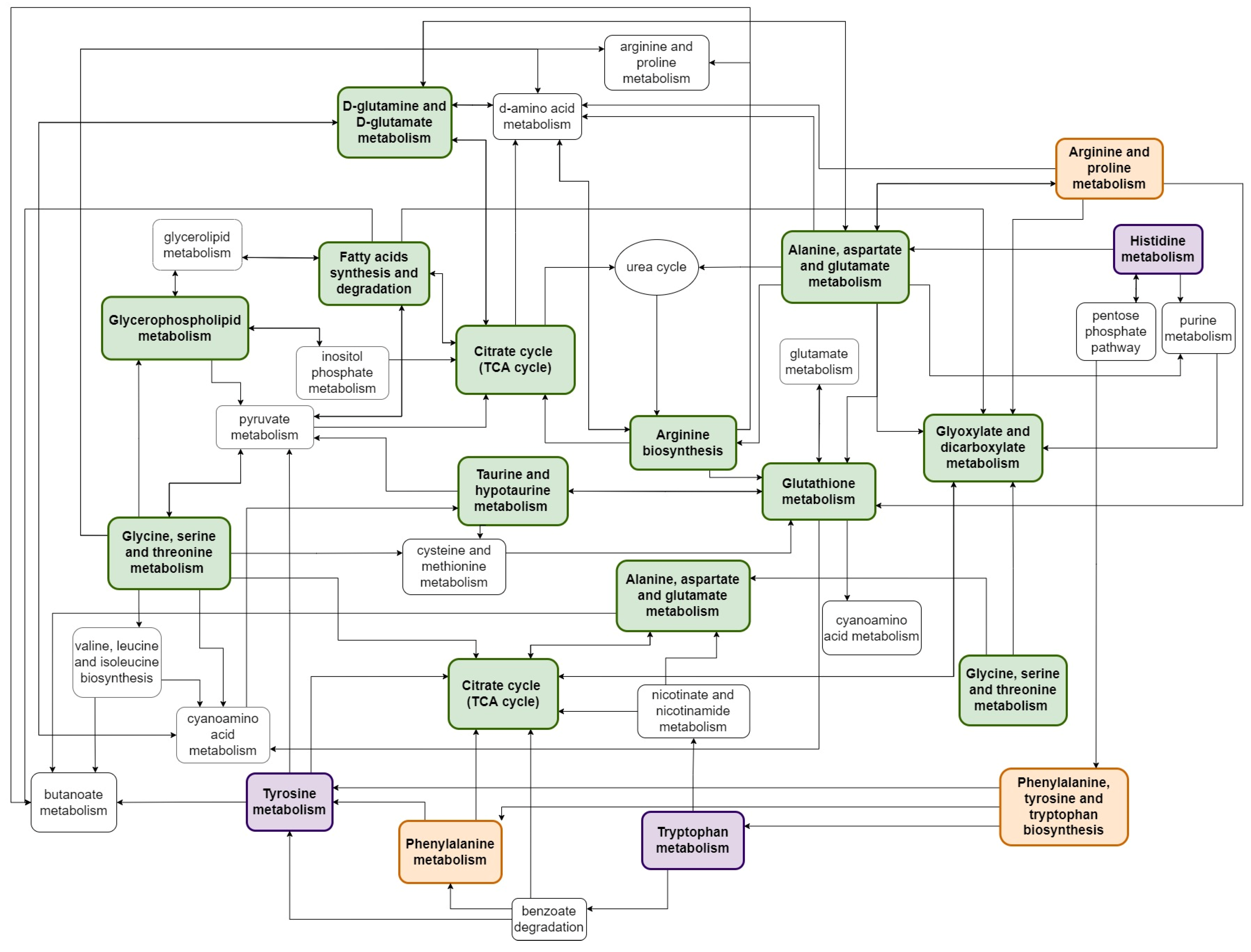 Metabolites 12 00478 g001 Metabolites 12 00478 g001