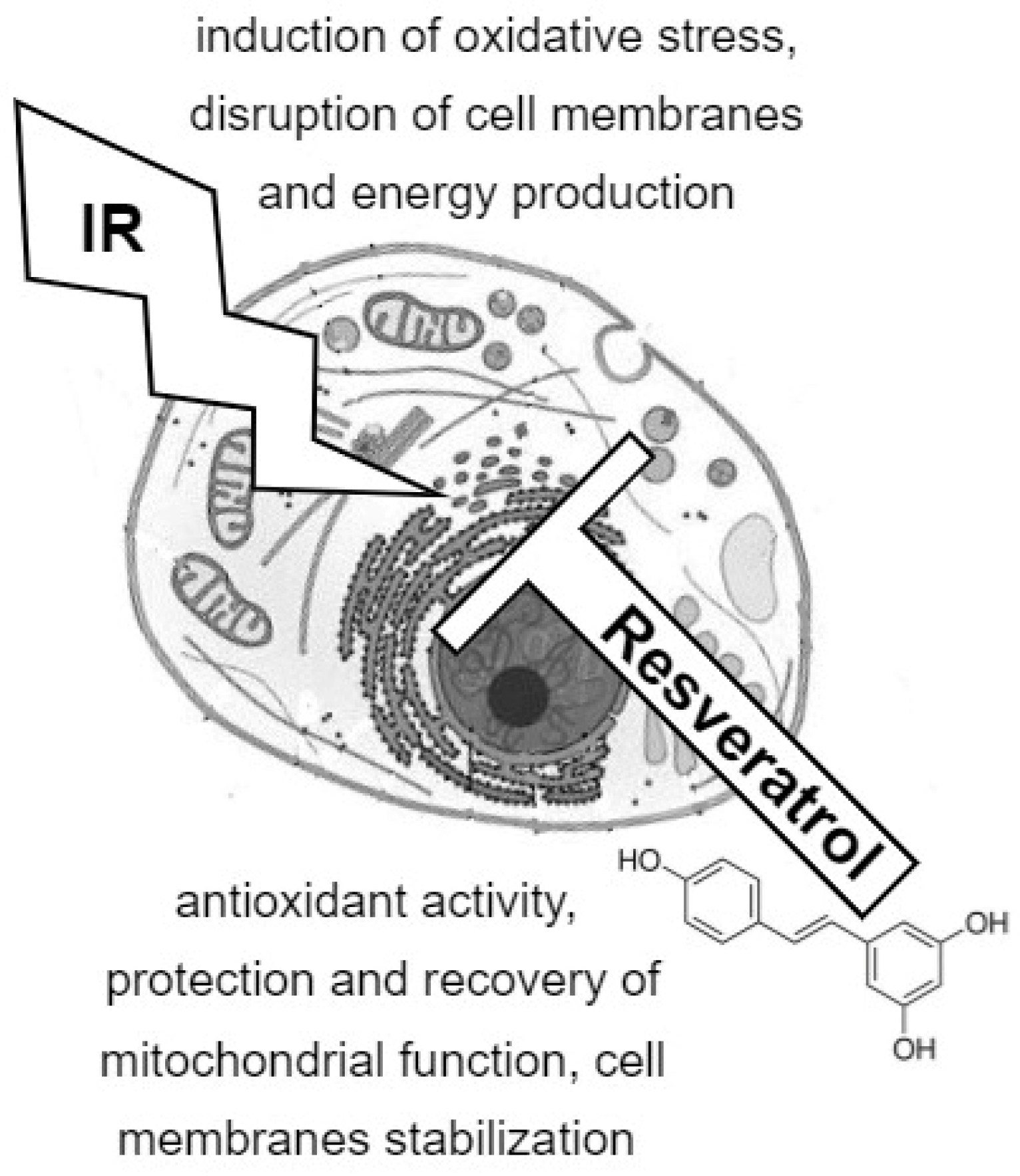 Metabolites 12 00478 g002 Metabolites 12 00478 g002