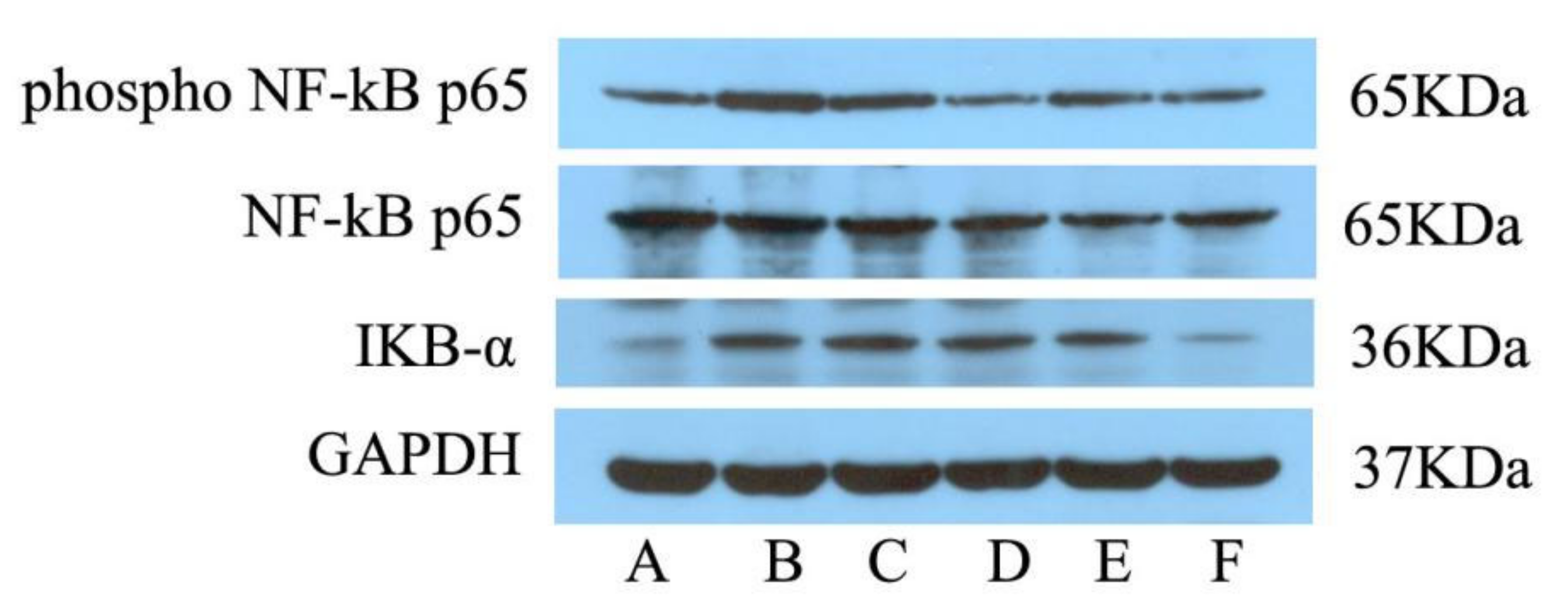 Metabolites 12 00479 g004