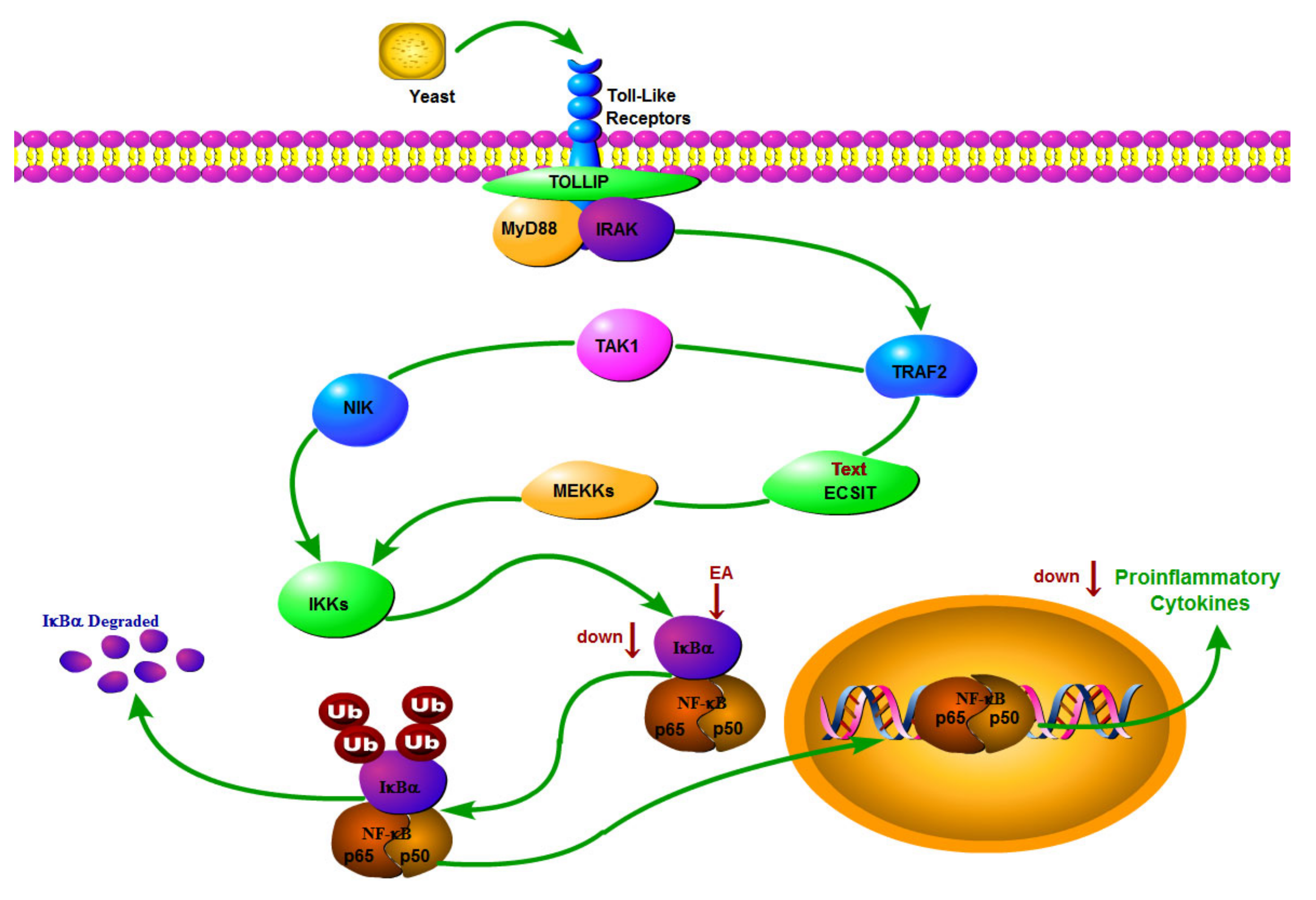 Metabolites 12 00479 g009