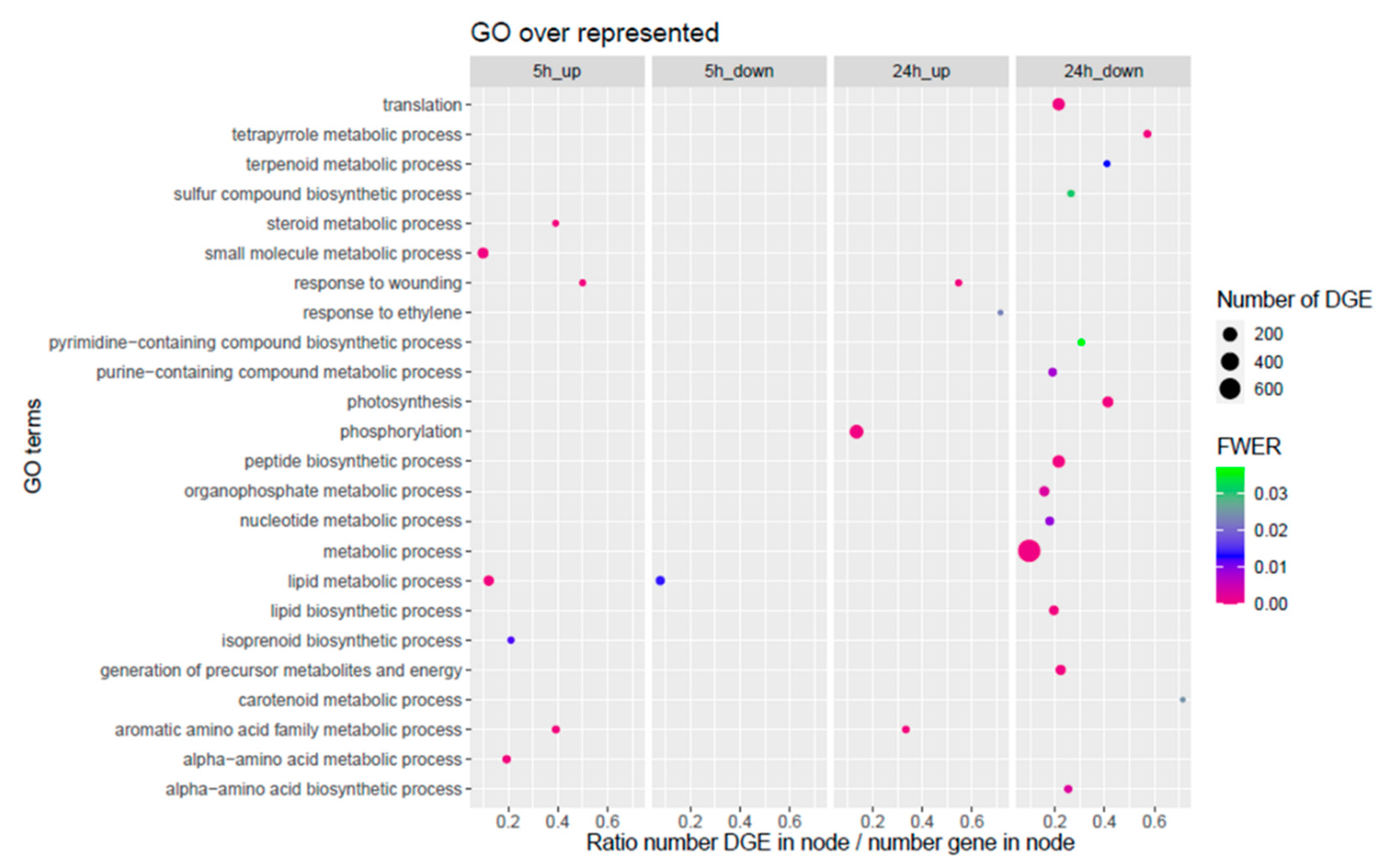 Metabolites 12 00484 g004