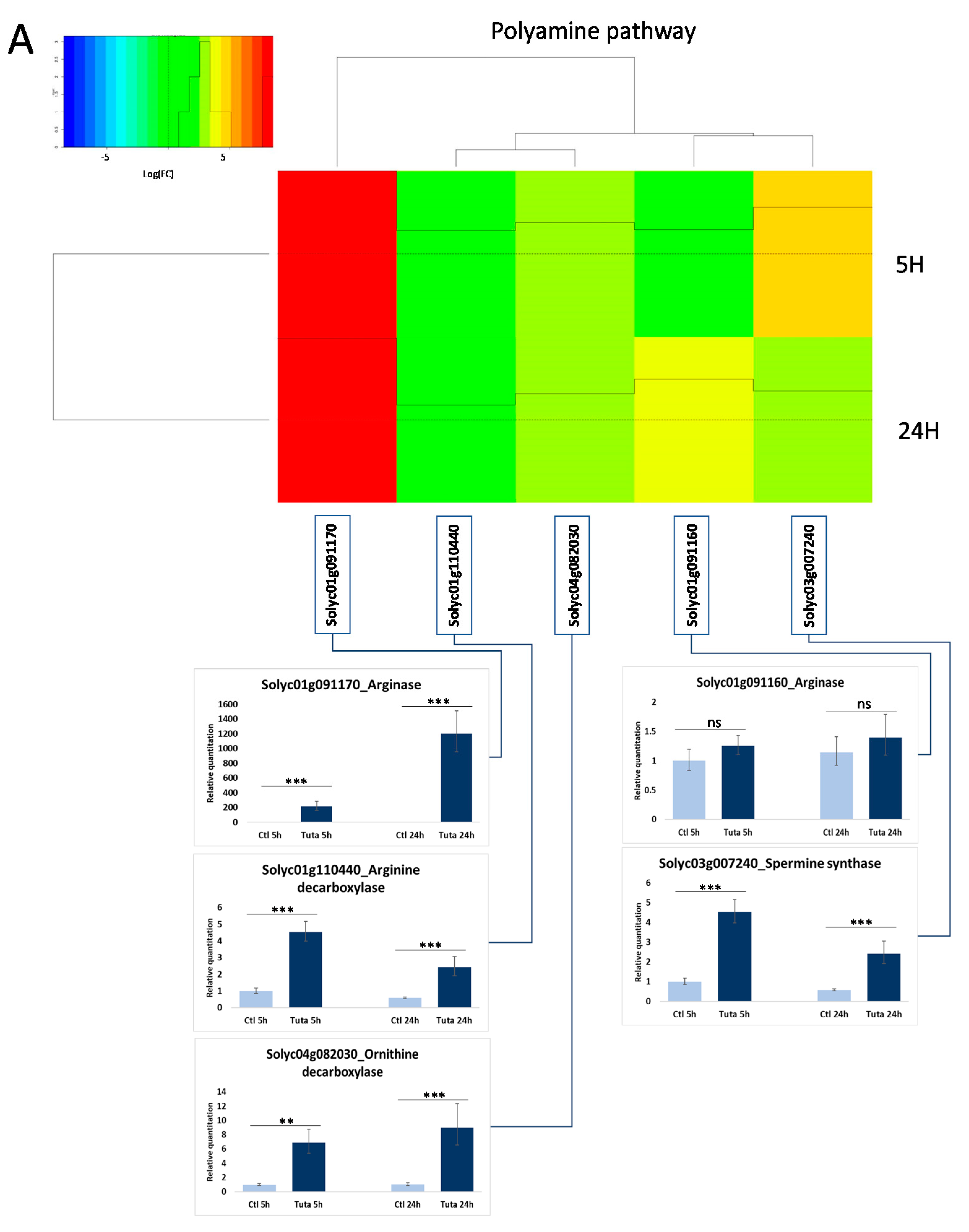 Metabolites 12 00484 g005a