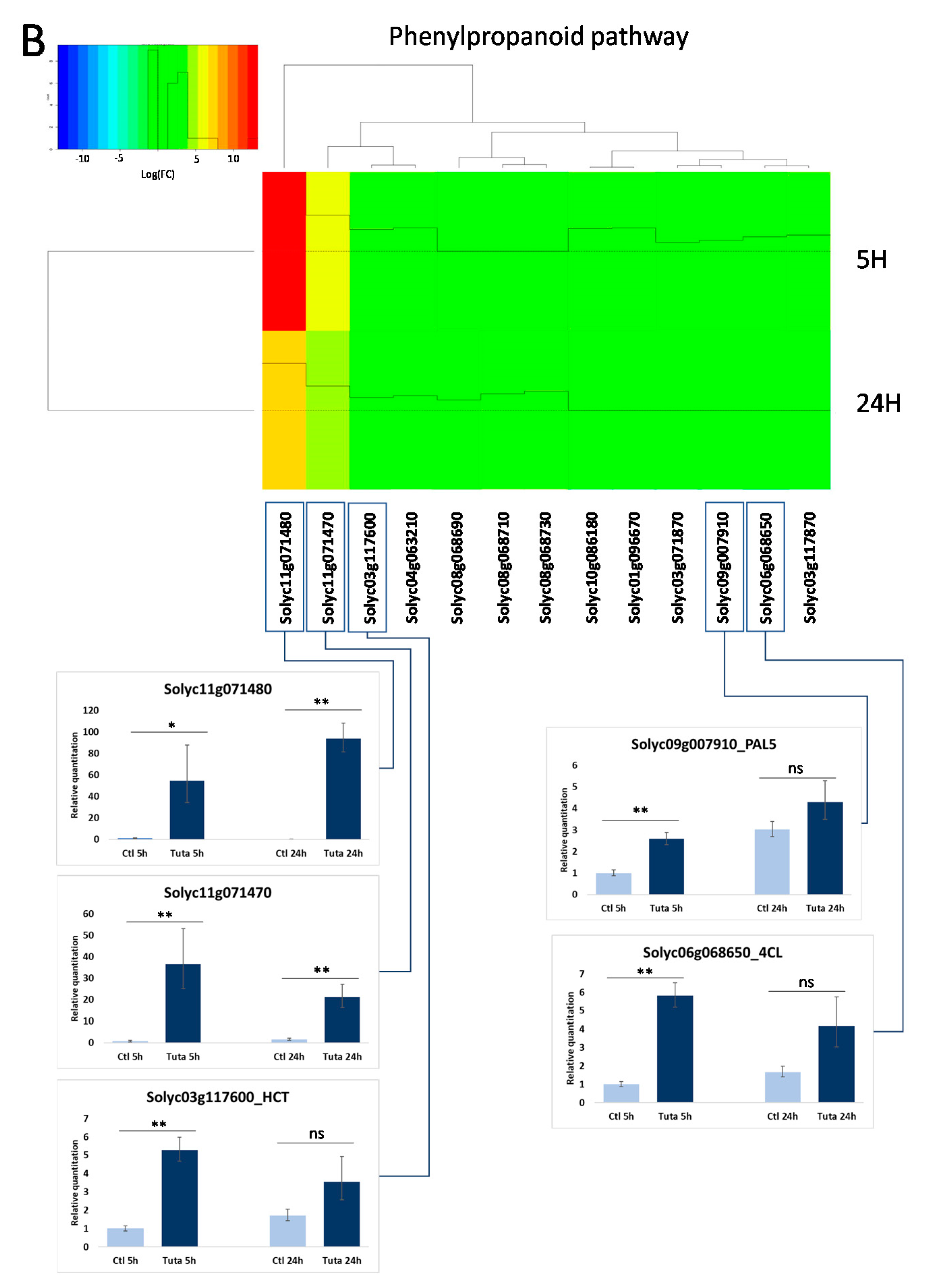 Metabolites 12 00484 g005b