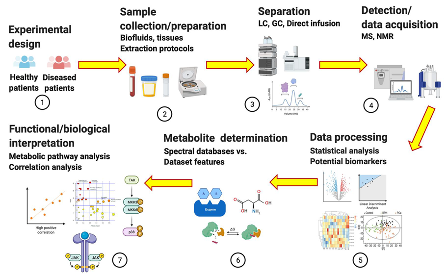 Metabolites 12 00488 g001