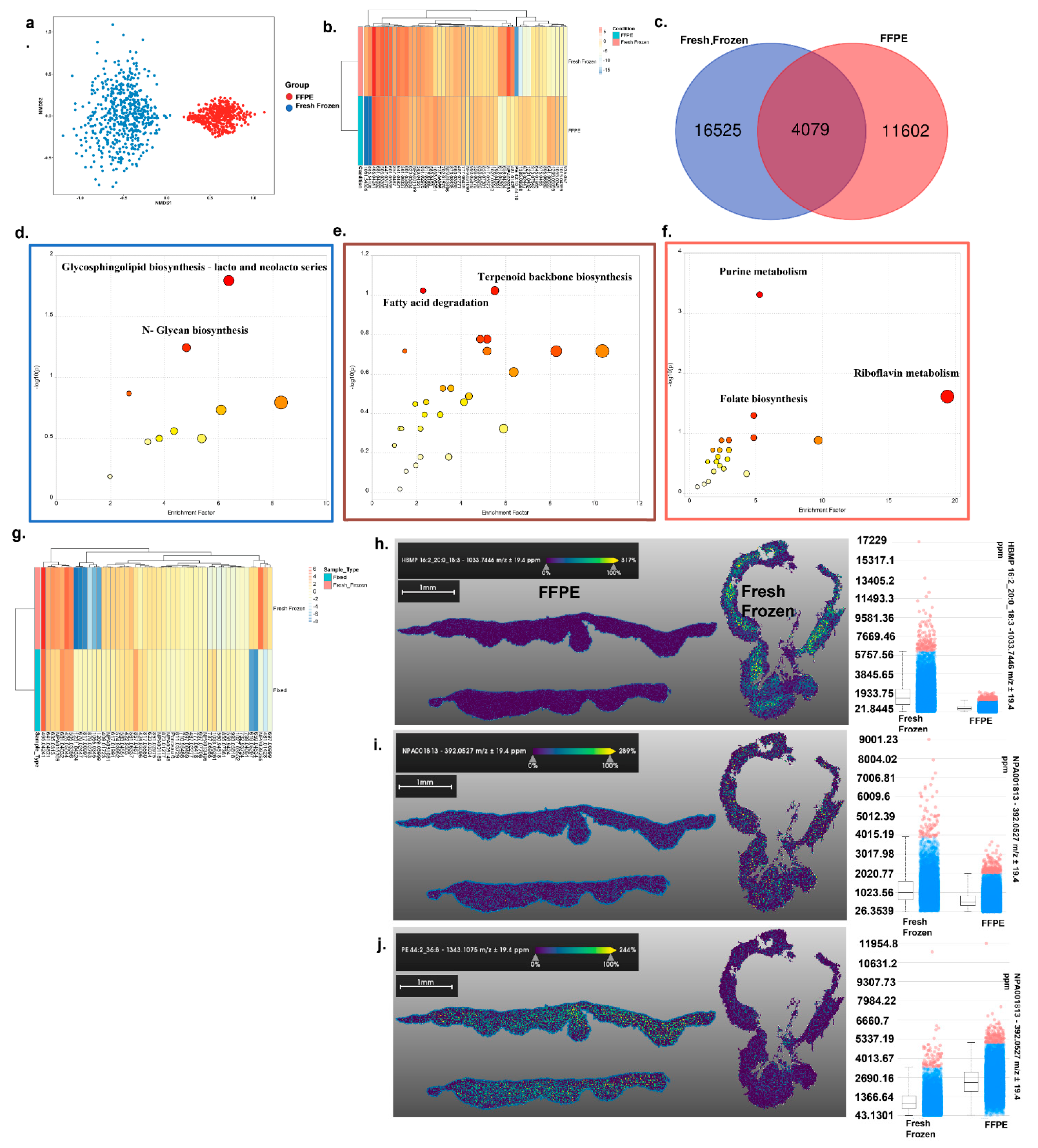 Metabolites 12 00497 g002