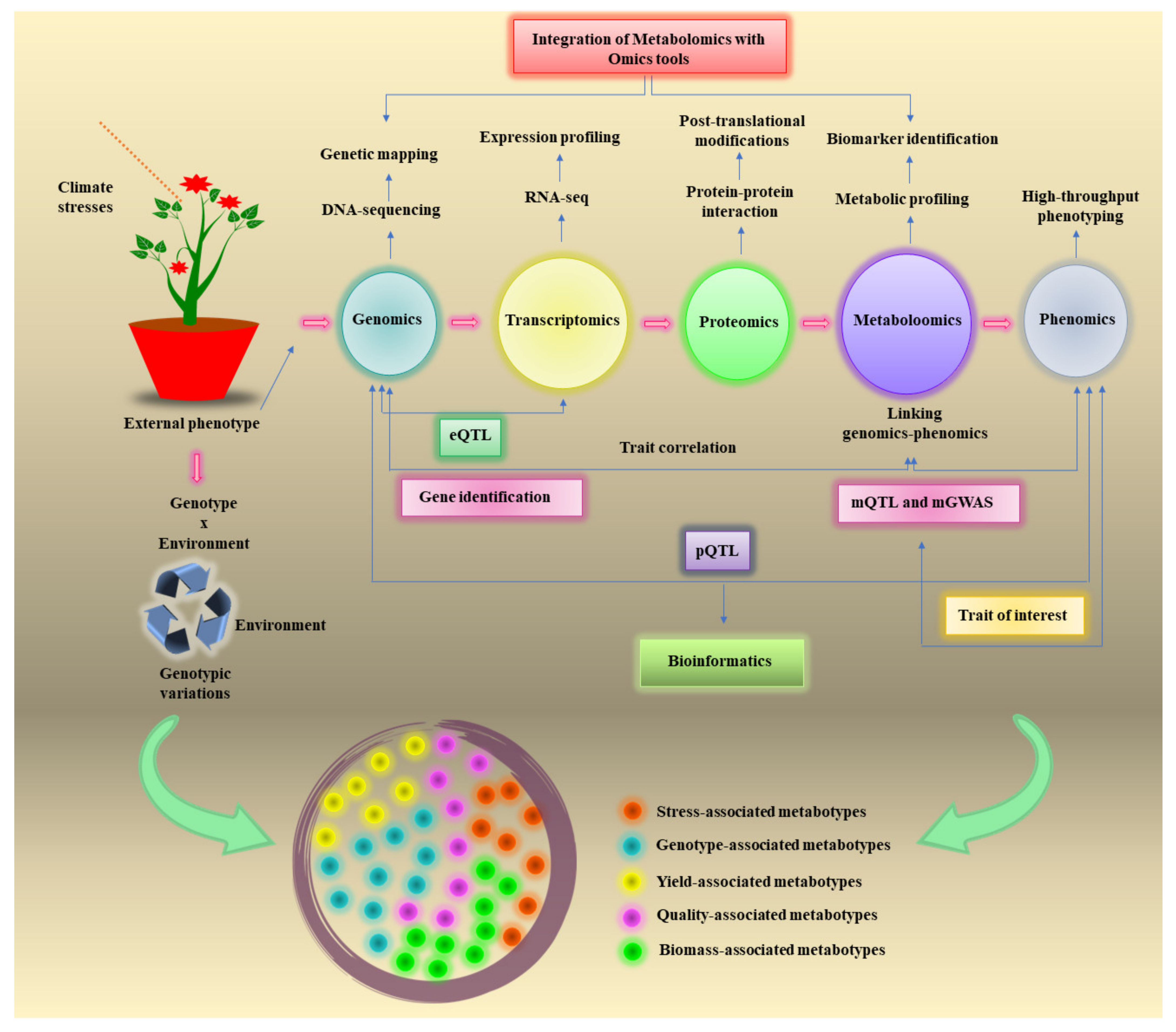 Metabolites 12 00511 g001