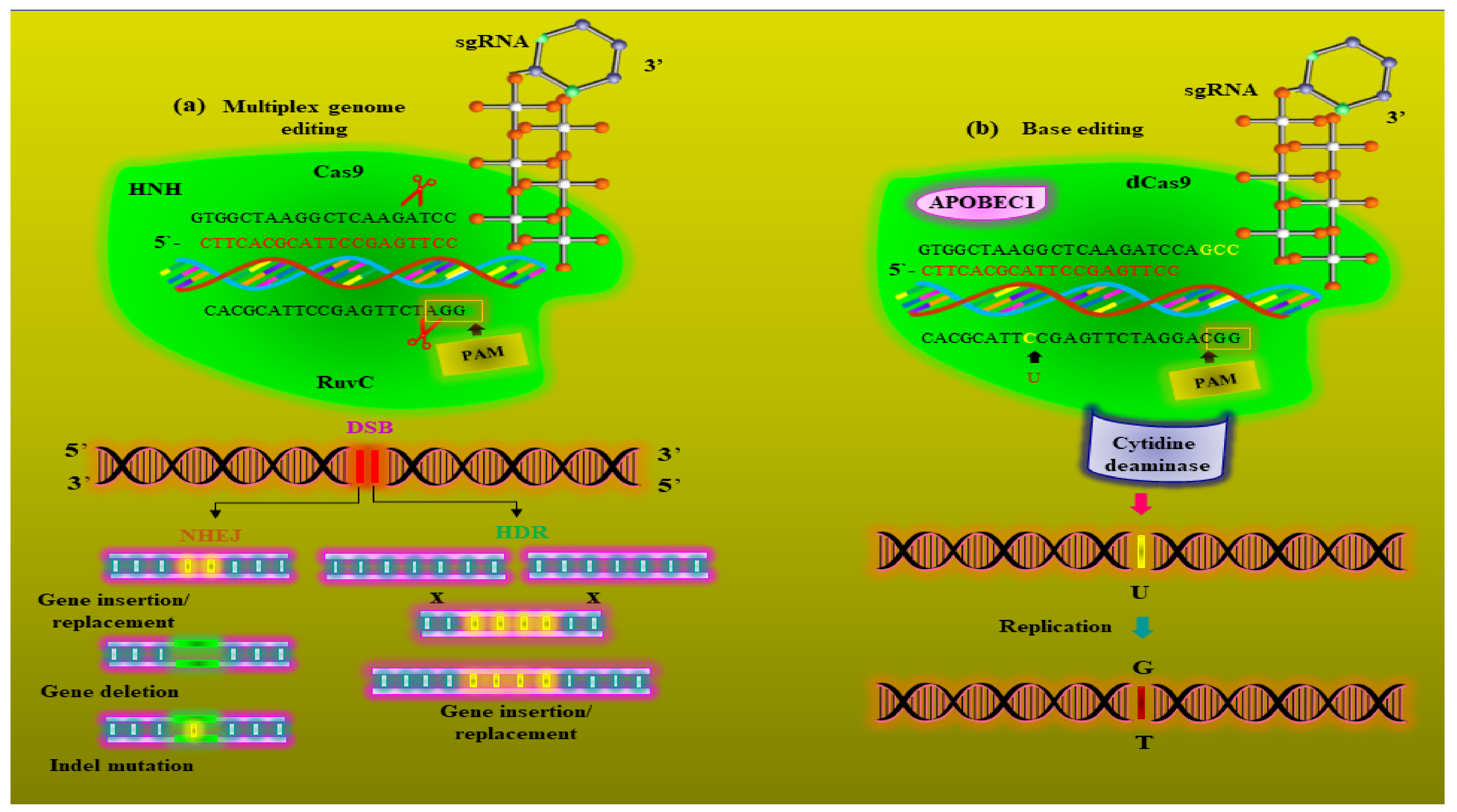 Metabolites 12 00511 g003