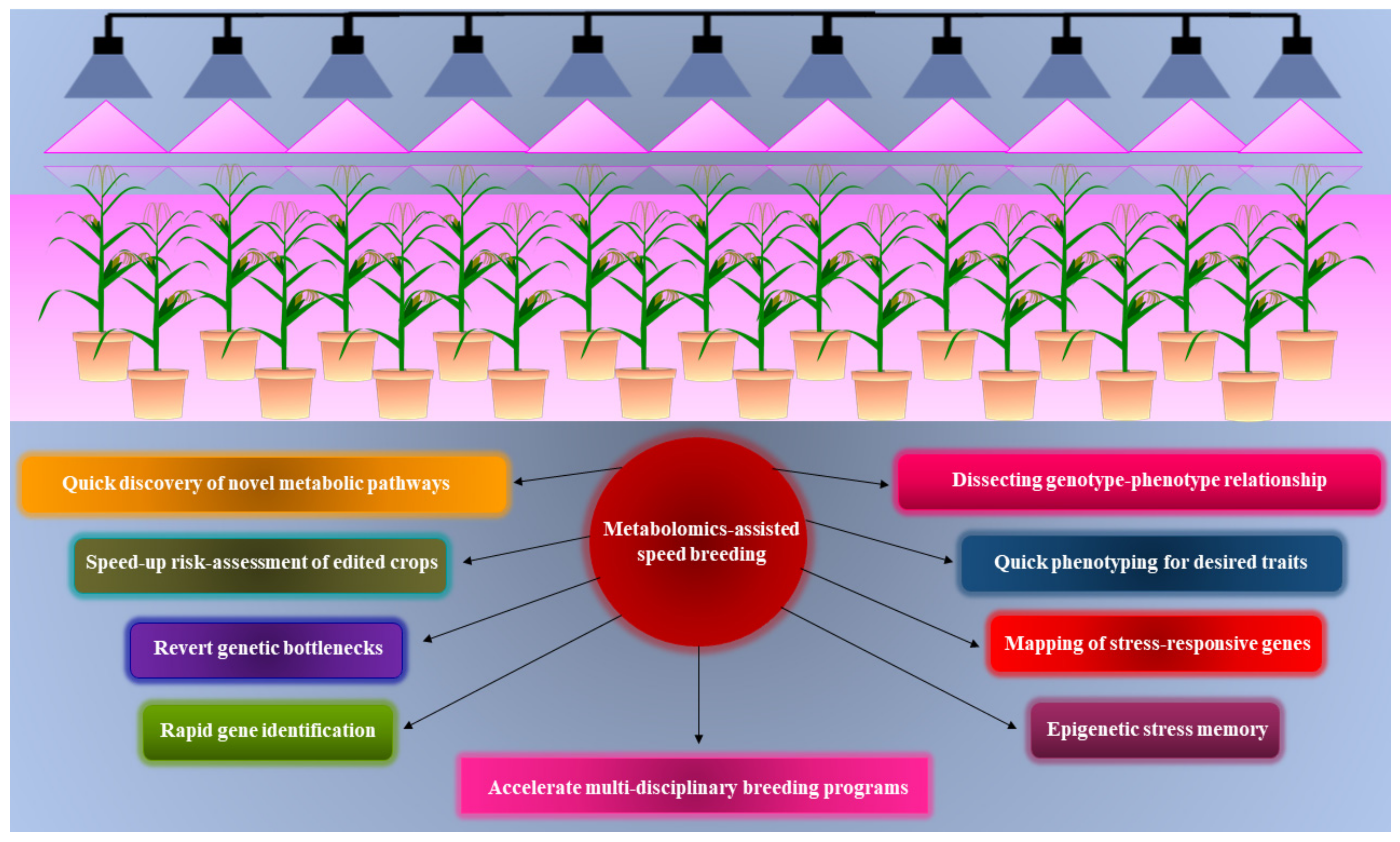 Metabolites 12 00511 g005