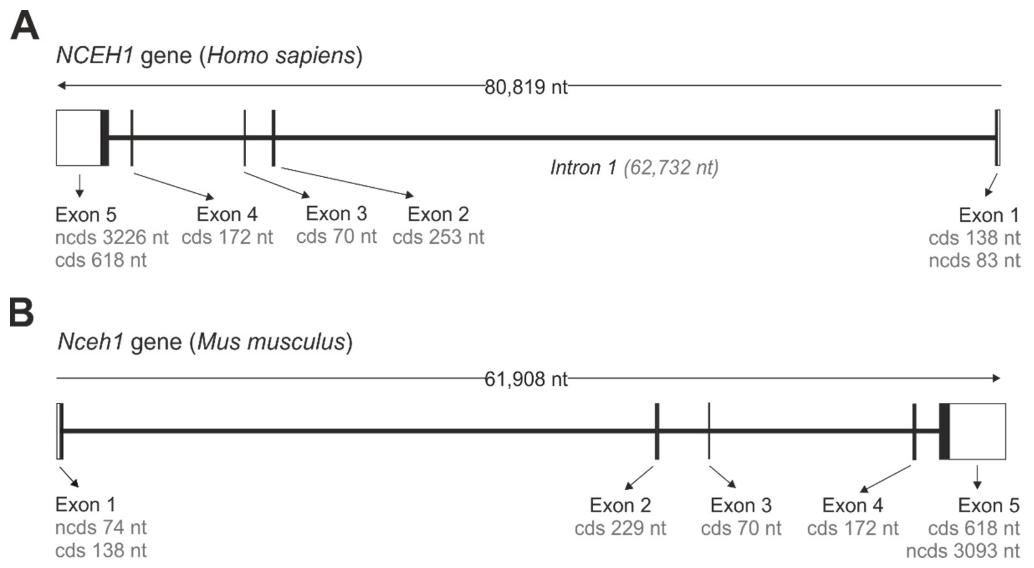 Metabolites 12 00516 g001