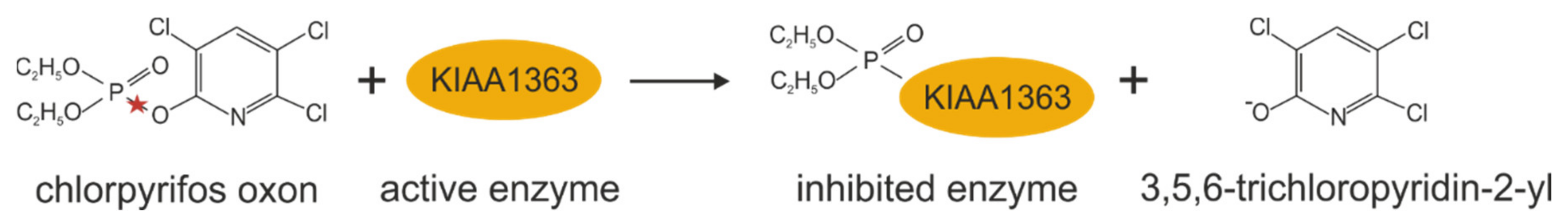 Metabolites 12 00516 g004