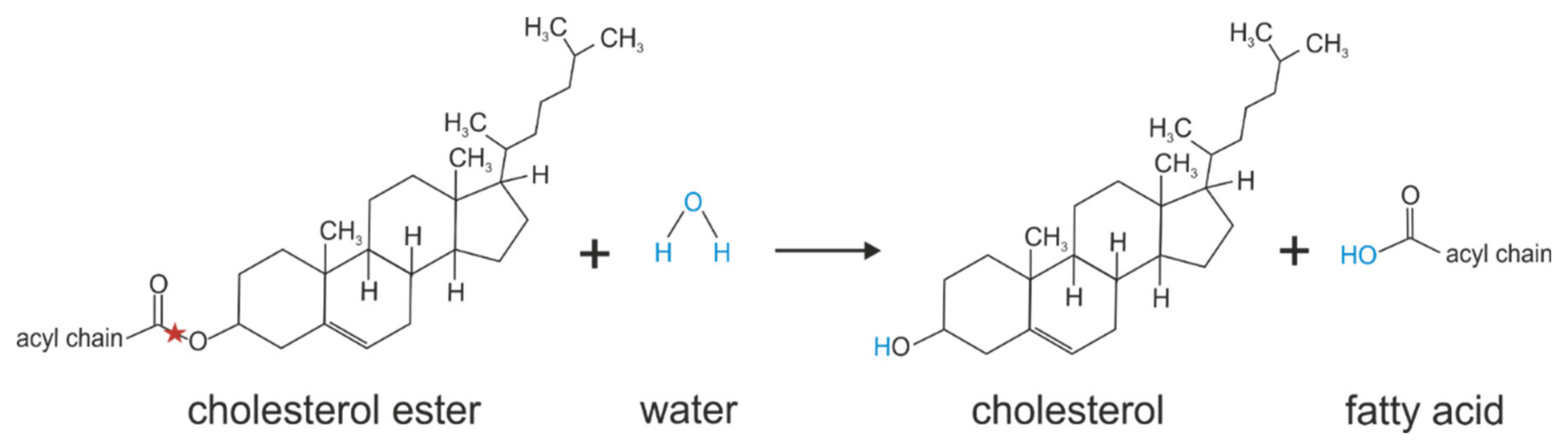 Metabolites 12 00516 g006