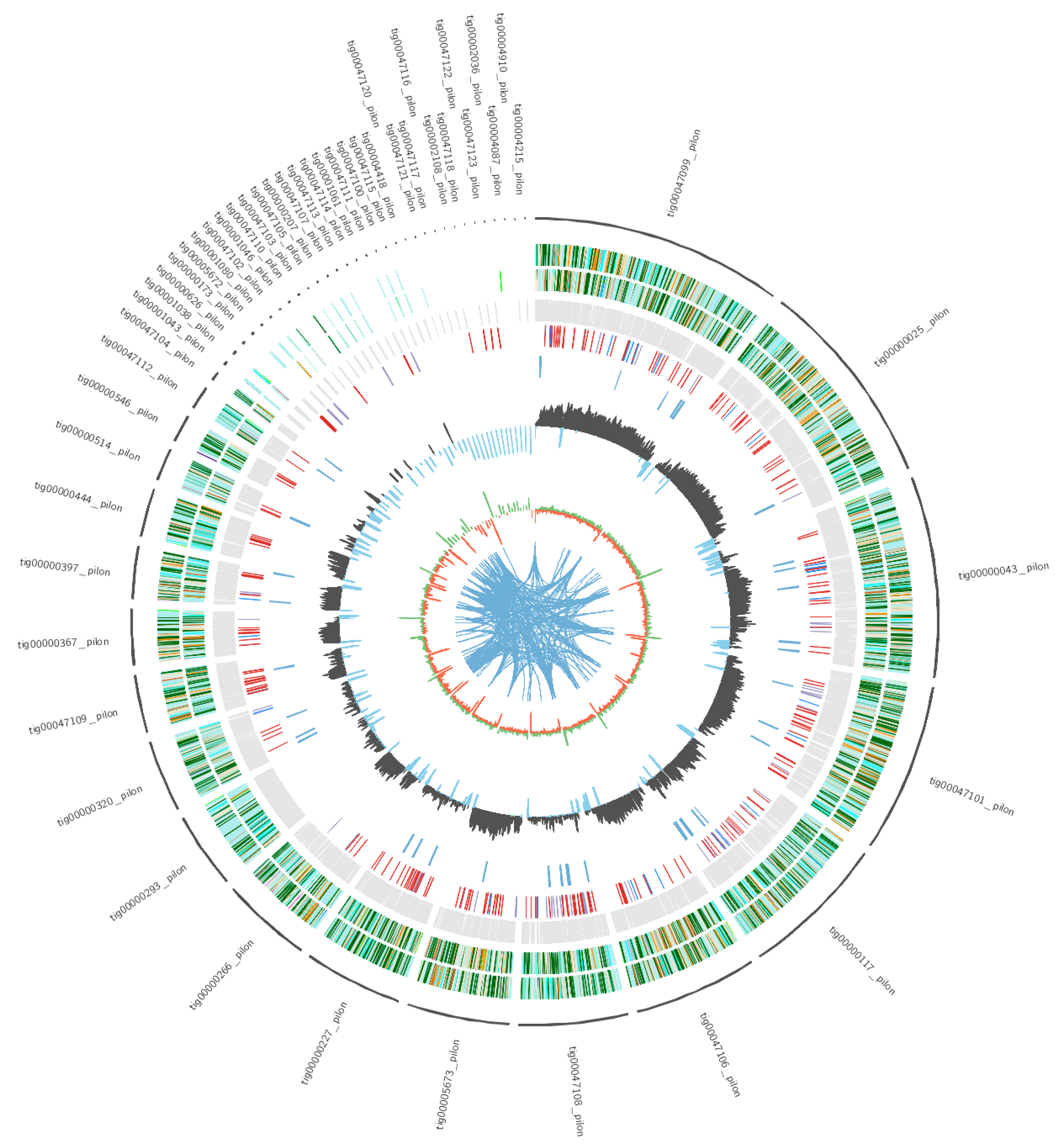 Metabolites 12 00521 g002