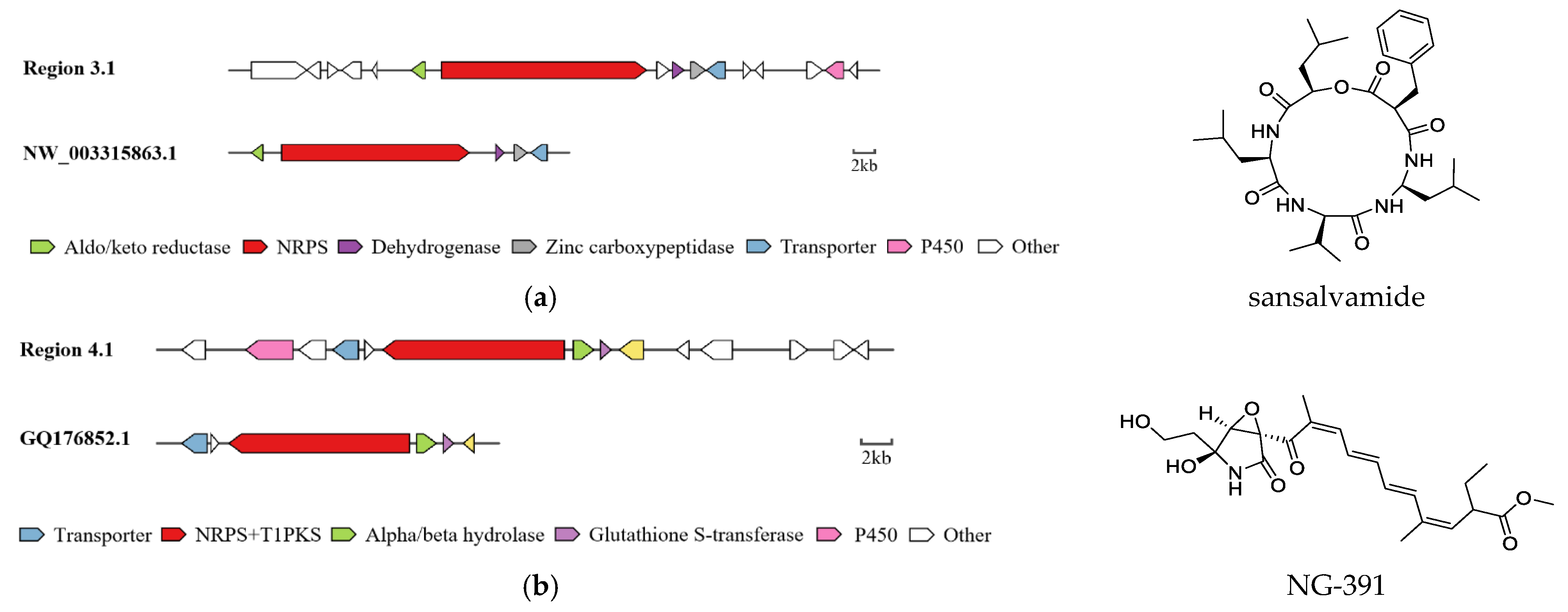 Metabolites 12 00521 g006a