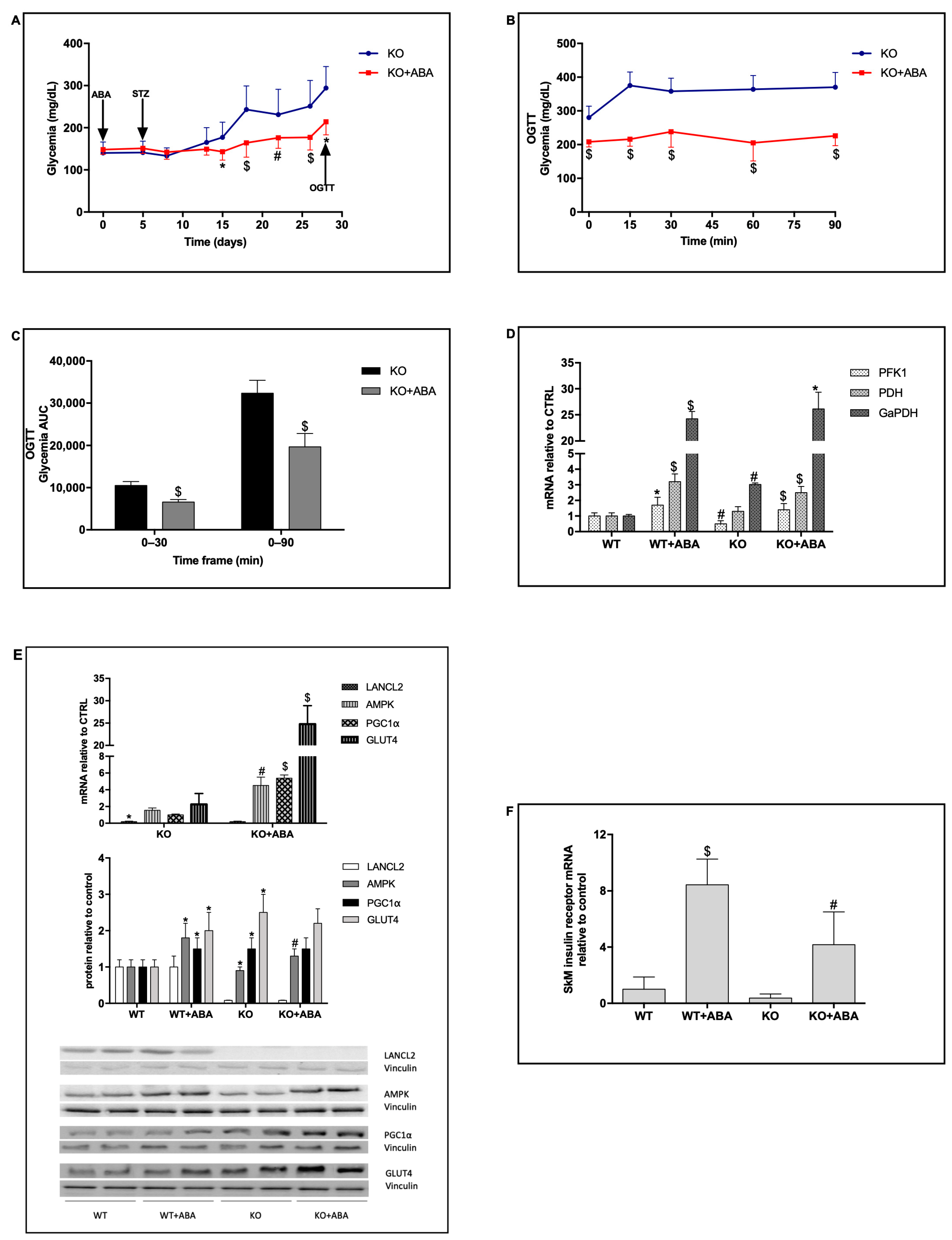 Metabolites 12 00523 g004 Metabolites 12 00523 g004