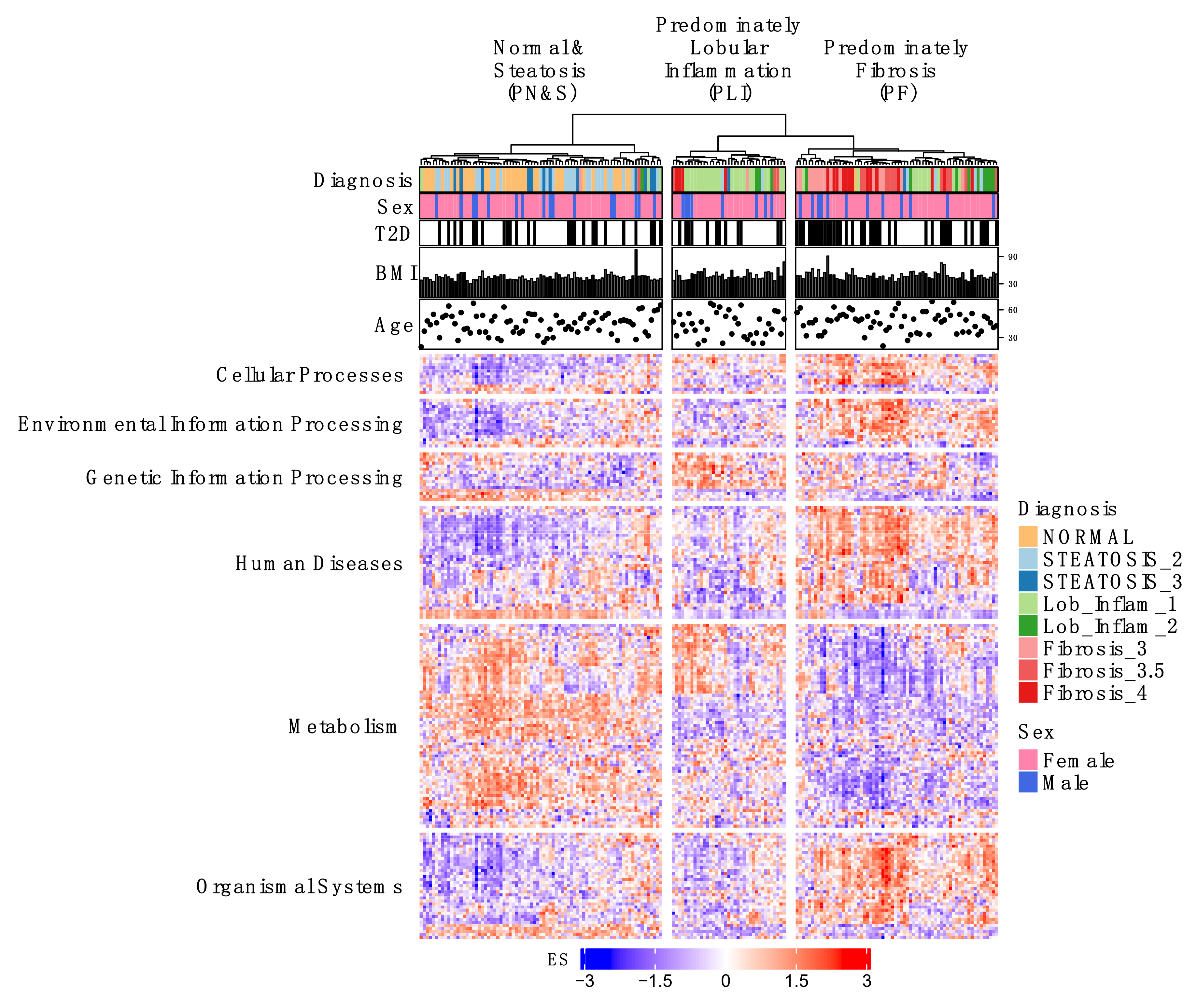 Metabolites 12 00528 g002