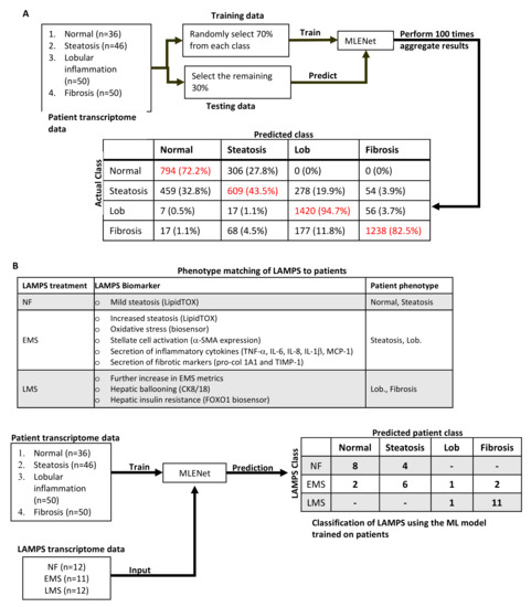 Metabolites 12 00528 g004 550