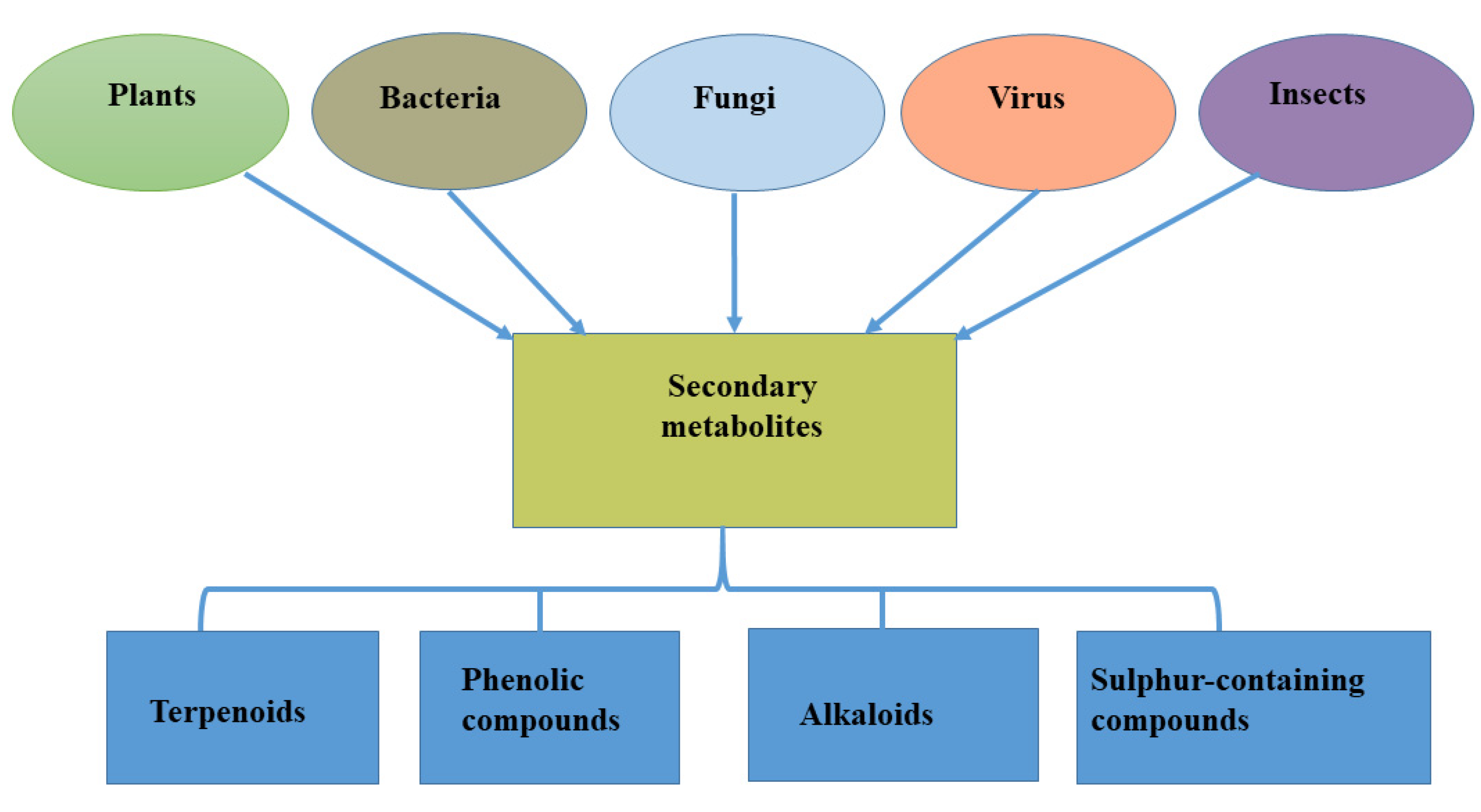 Metabolites 12 00534 g001