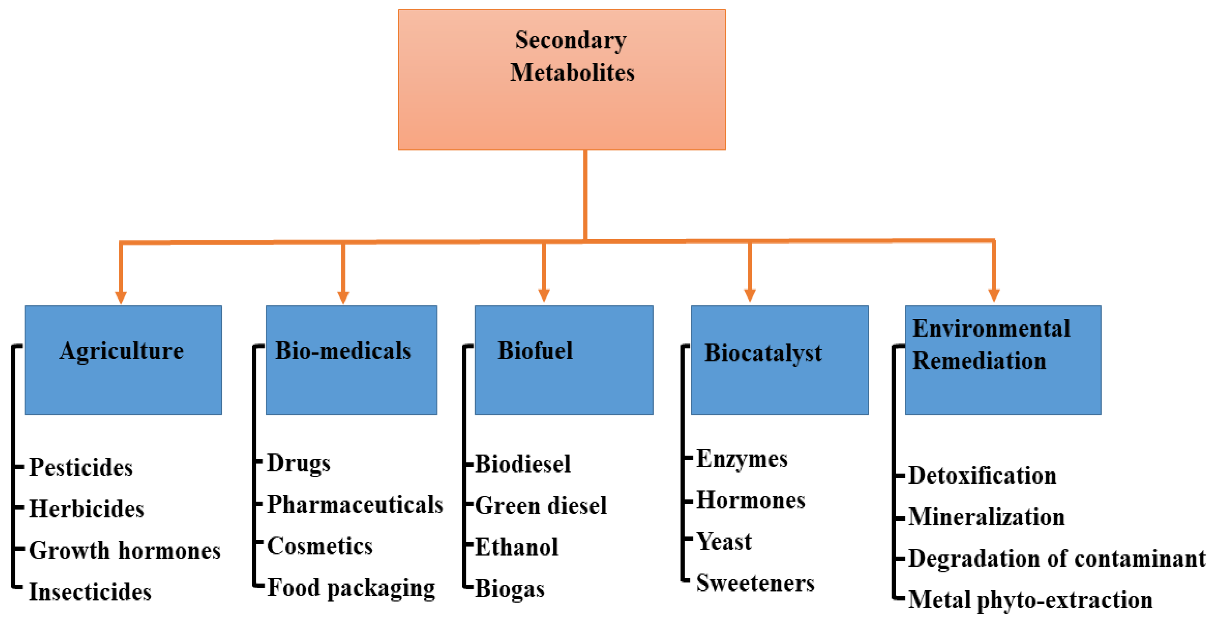 Metabolites 12 00534 g003
