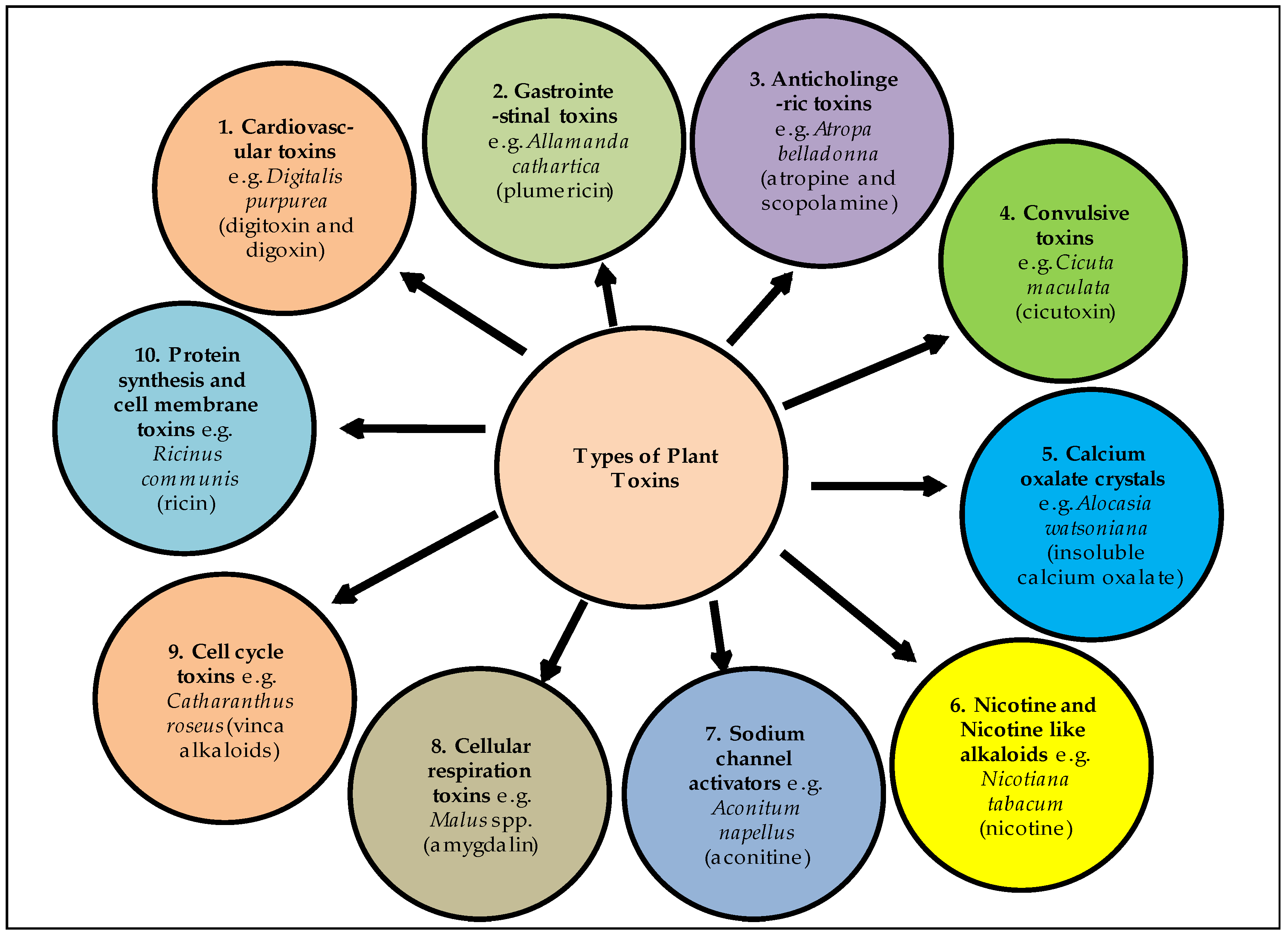 Metabolites 12 00540 g001