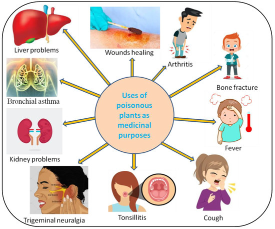 Metabolites 12 00540 g004