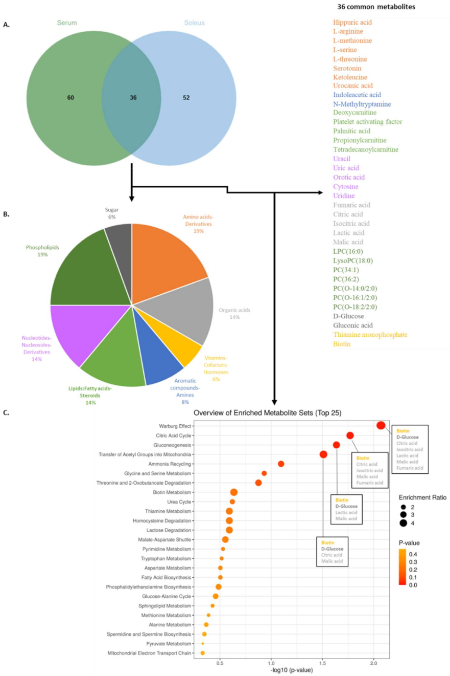 Metabolites 12 00556 g006
