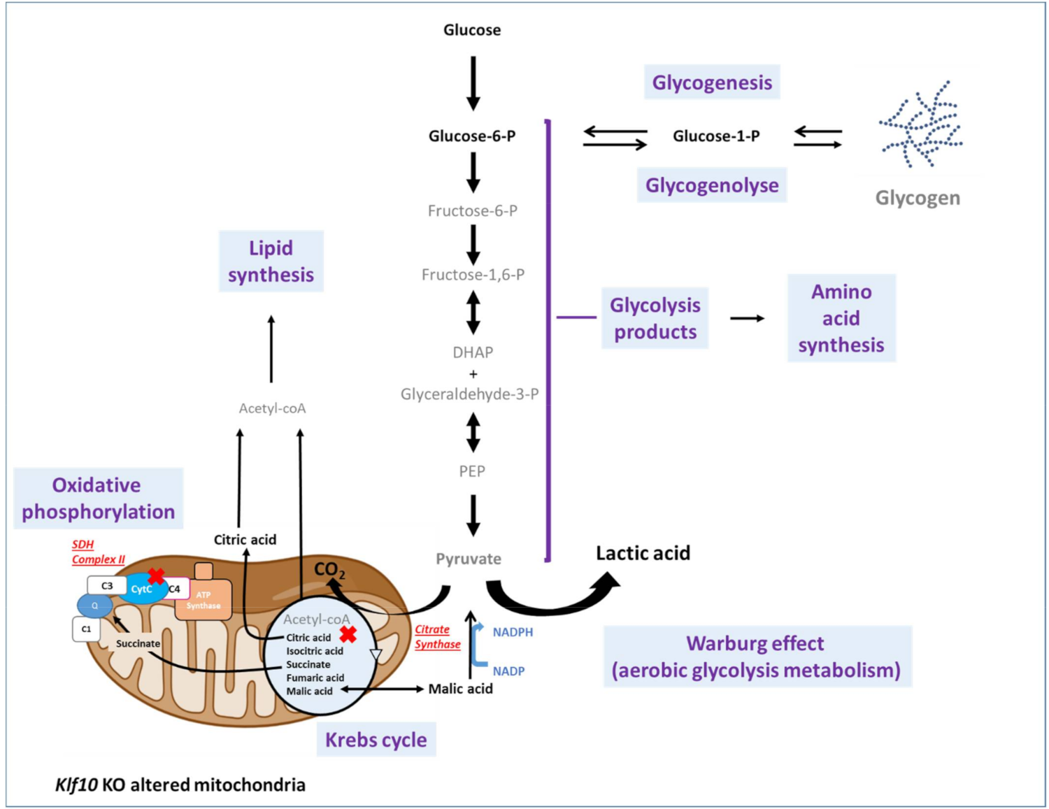 Metabolites 12 00556 g009