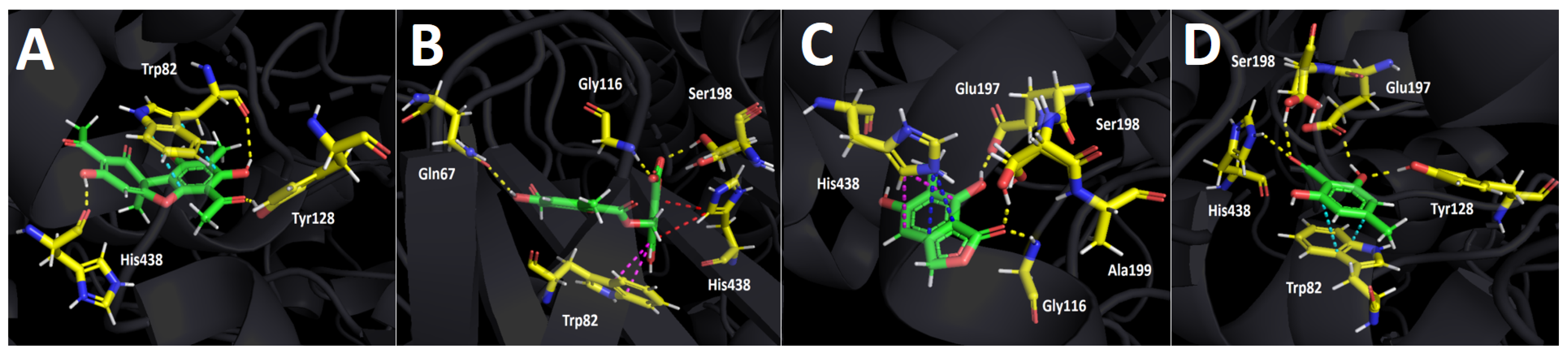 Metabolites 12 00560 g005
