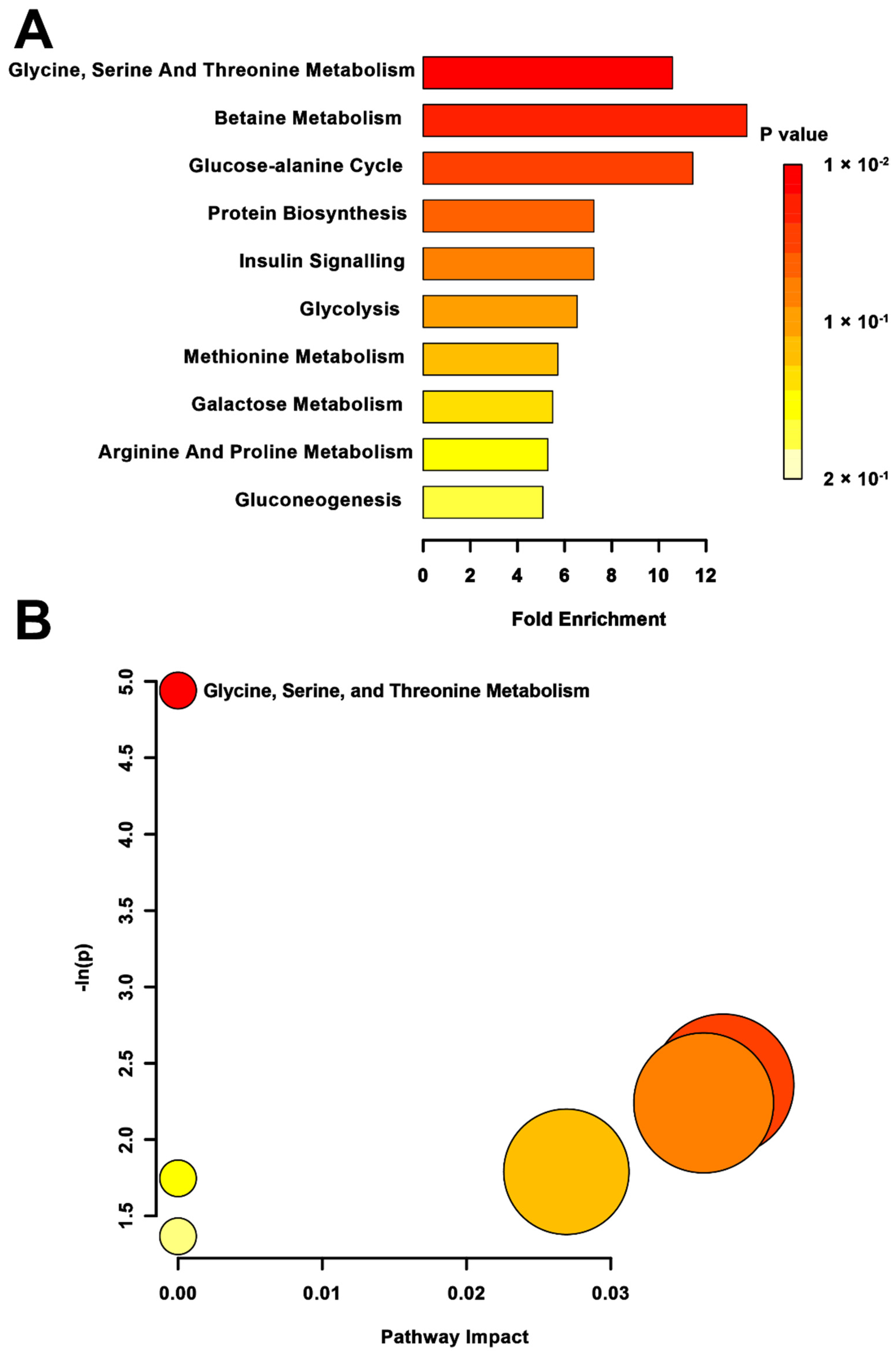 Metabolites 12 00572 g003
