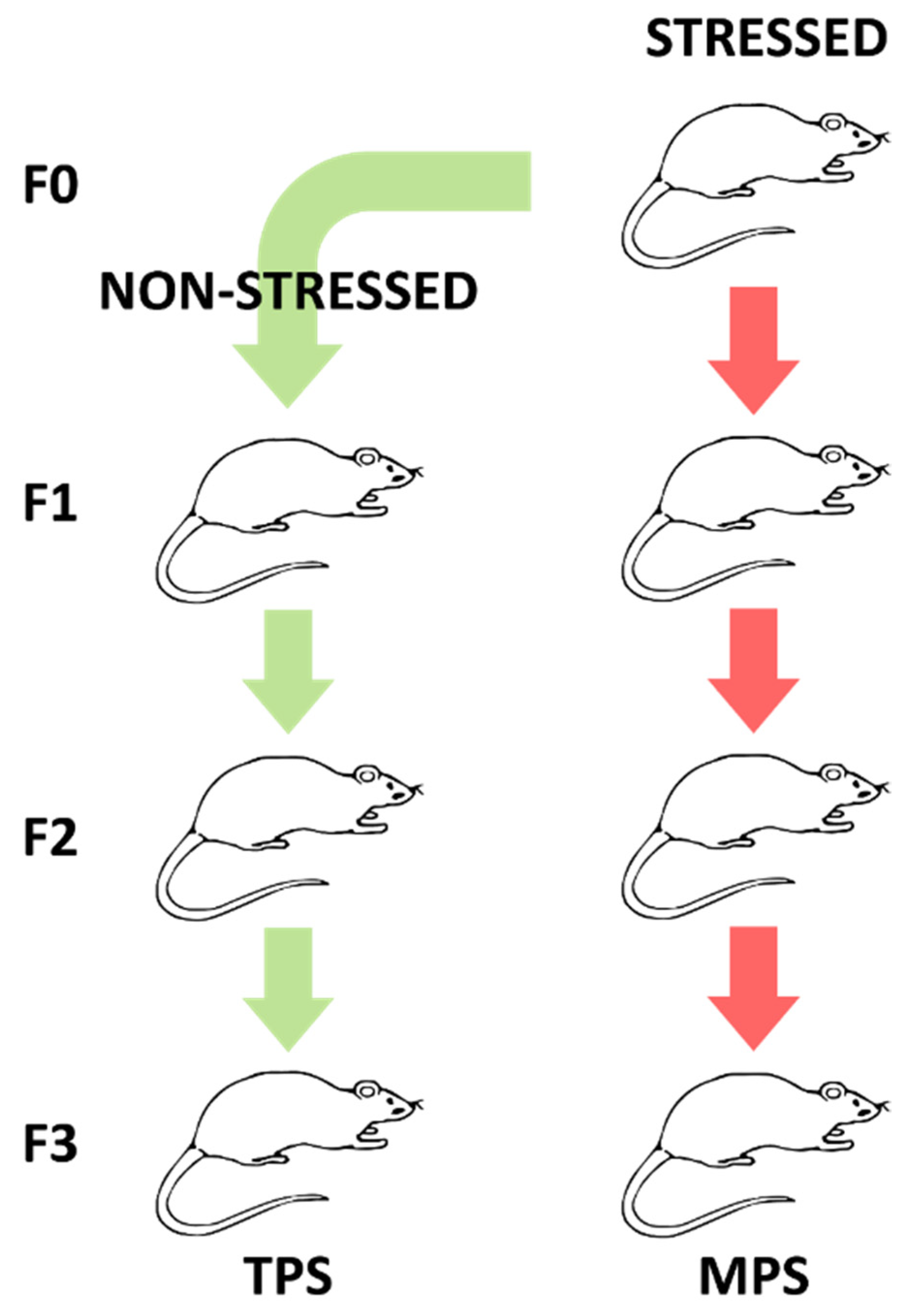 Metabolites 12 00572 g005