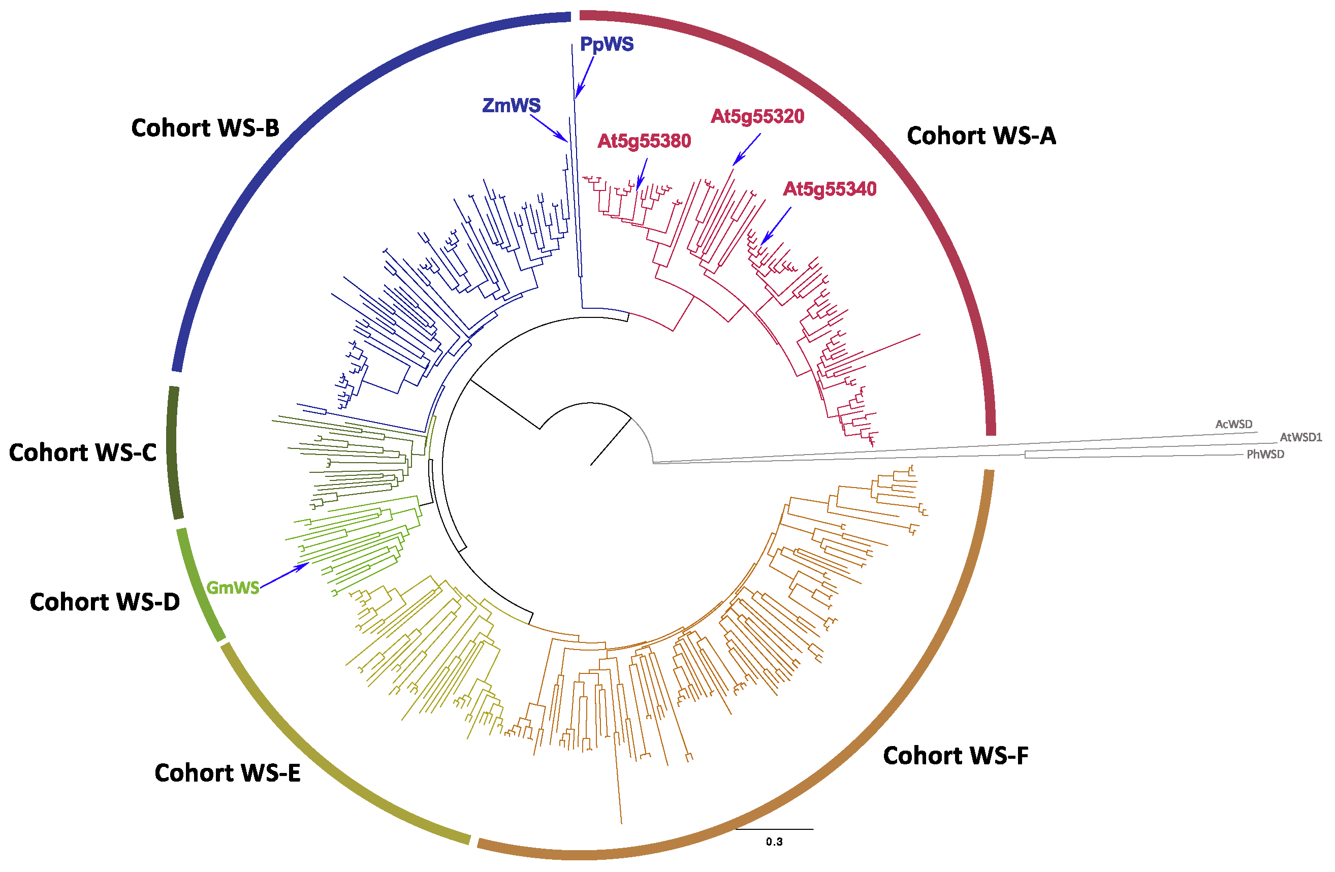 Metabolites 12 00577 g001 Metabolites 12 00577 g001