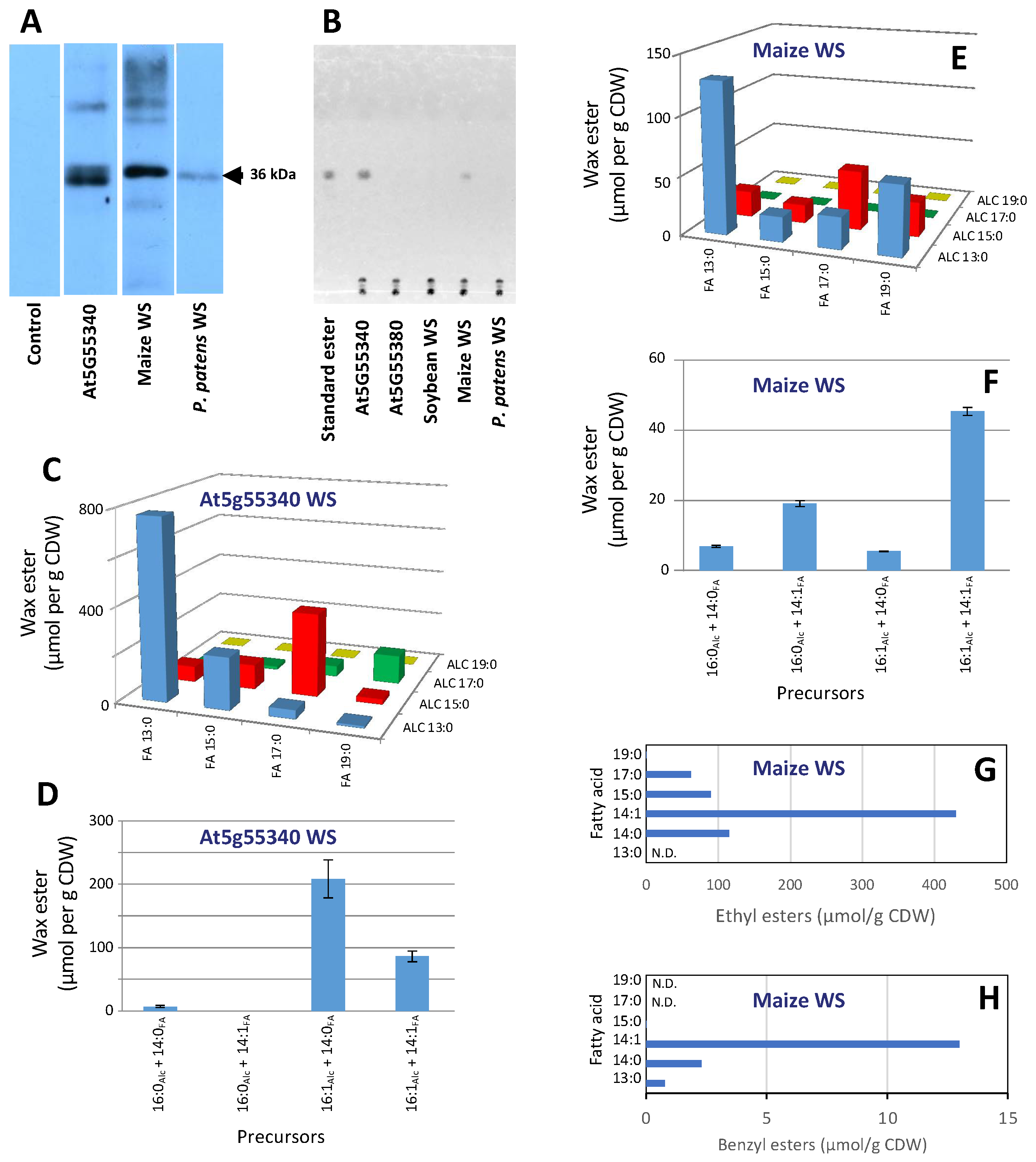Metabolites 12 00577 g003 Metabolites 12 00577 g003