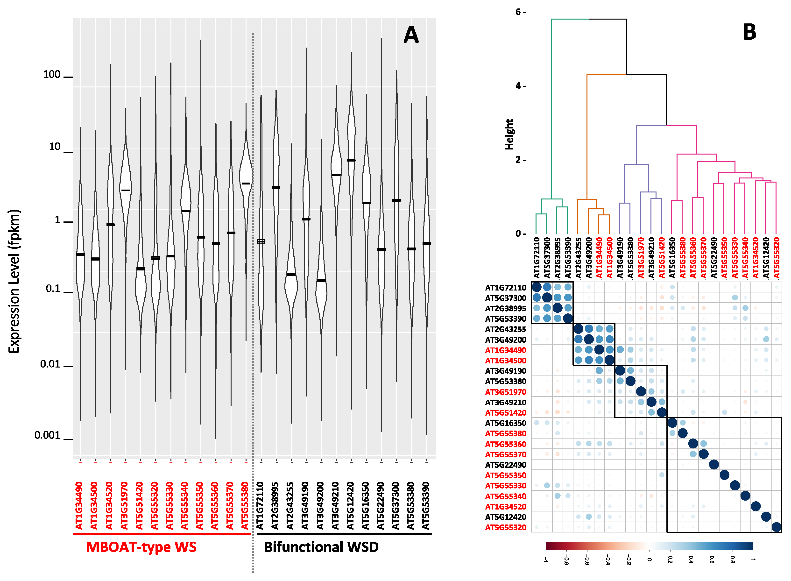 Metabolites 12 00577 g007 Metabolites 12 00577 g007