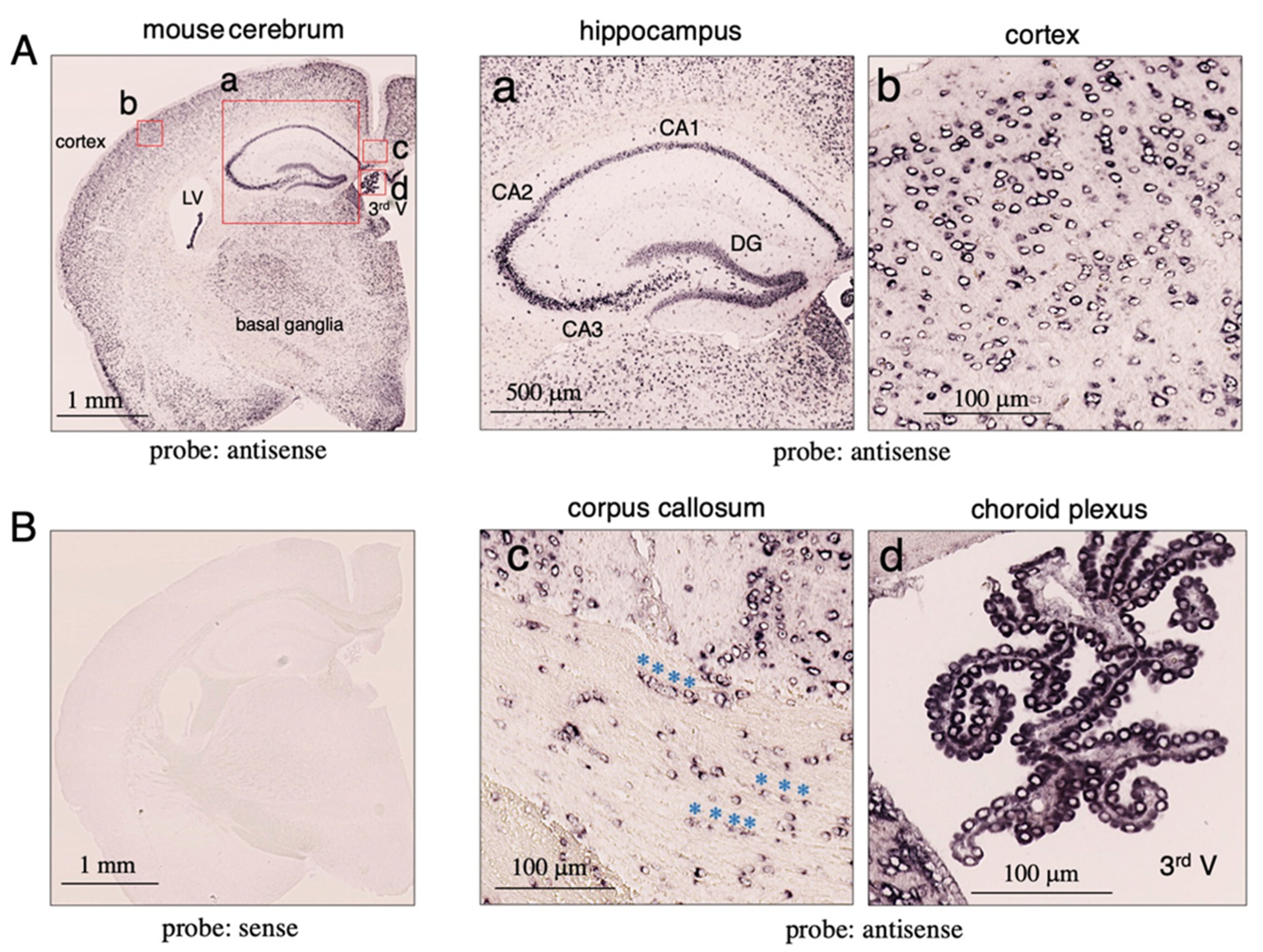 Metabolites 12 00594 g001