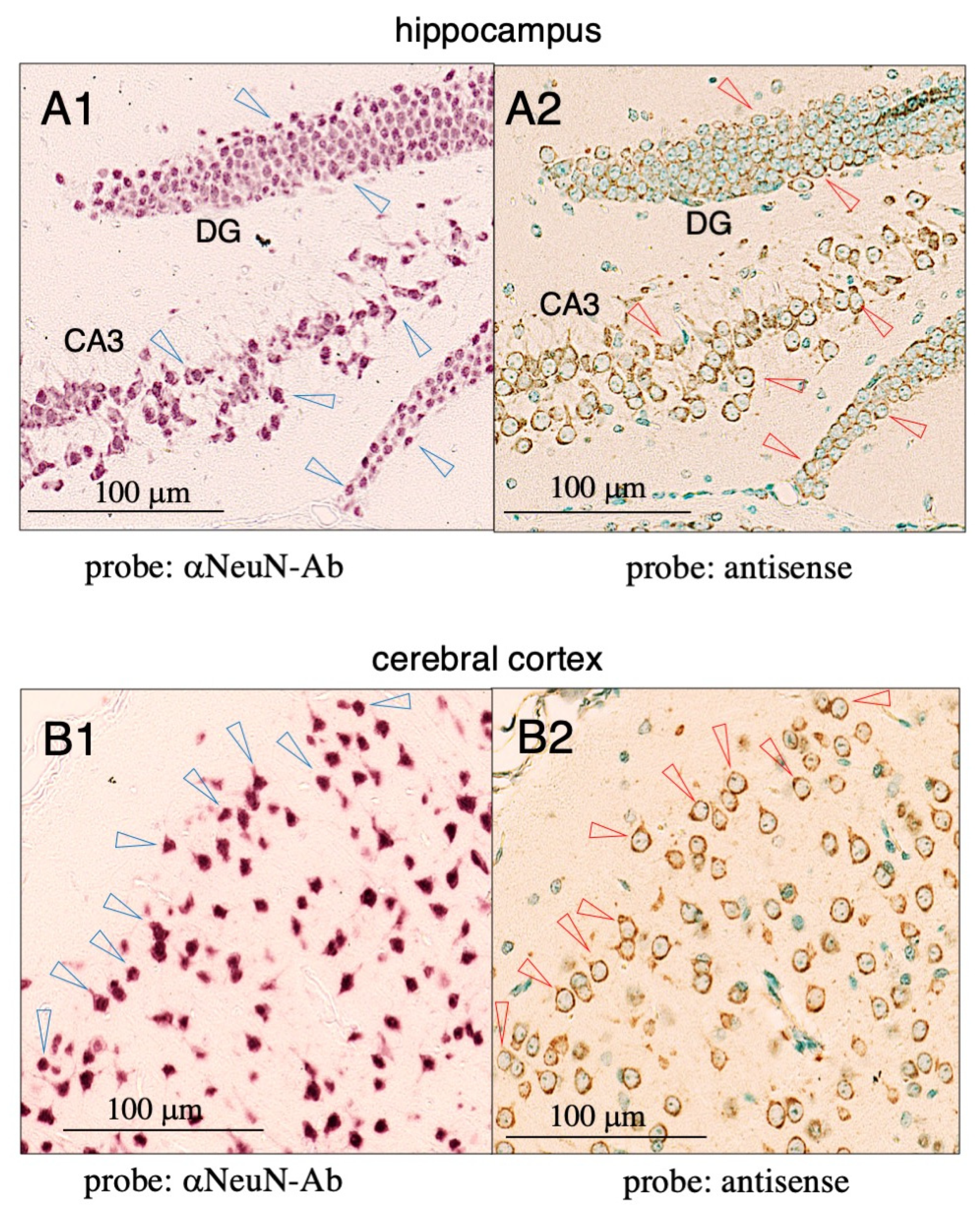 Metabolites 12 00594 g002