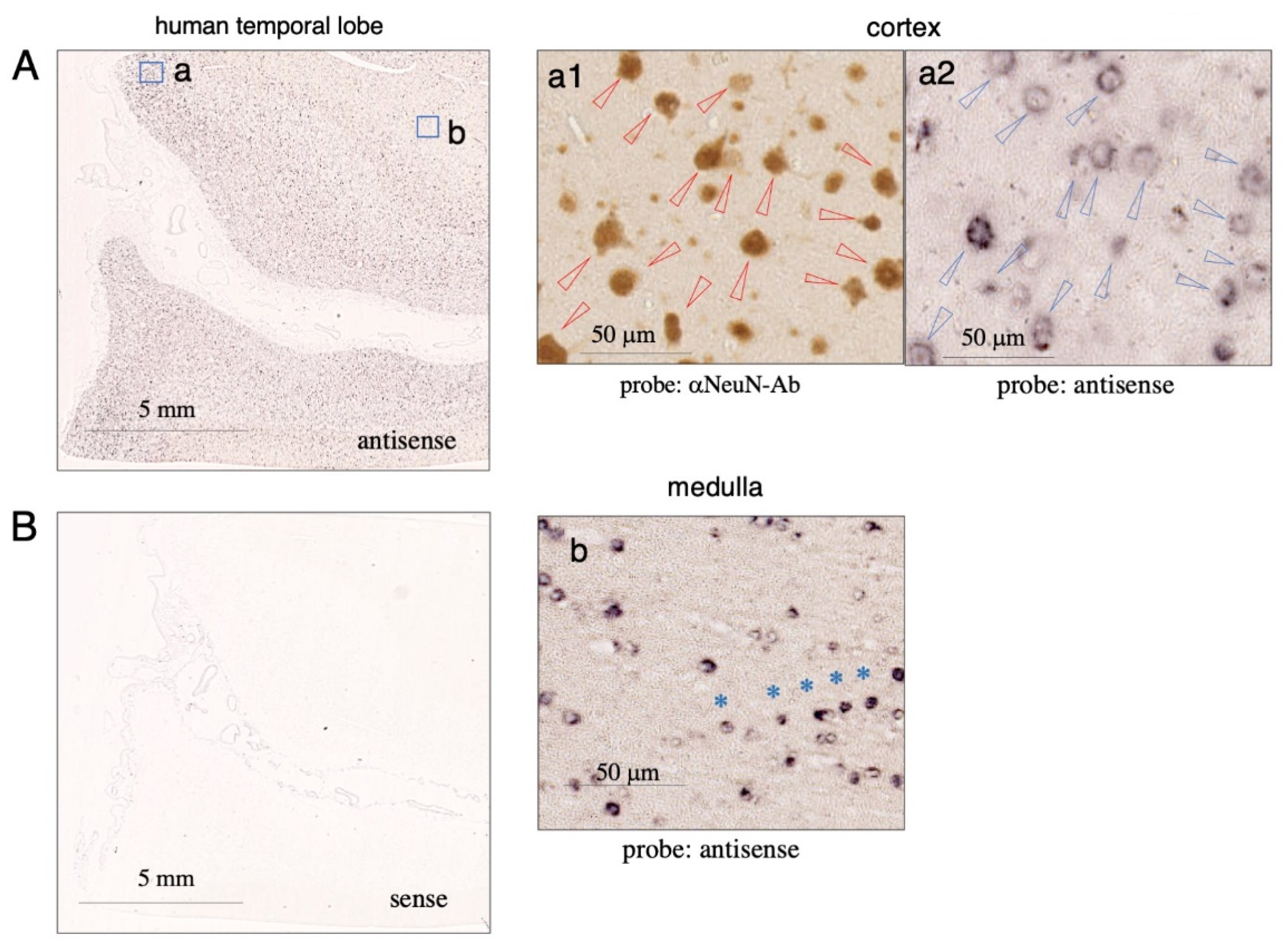 Metabolites 12 00594 g005
