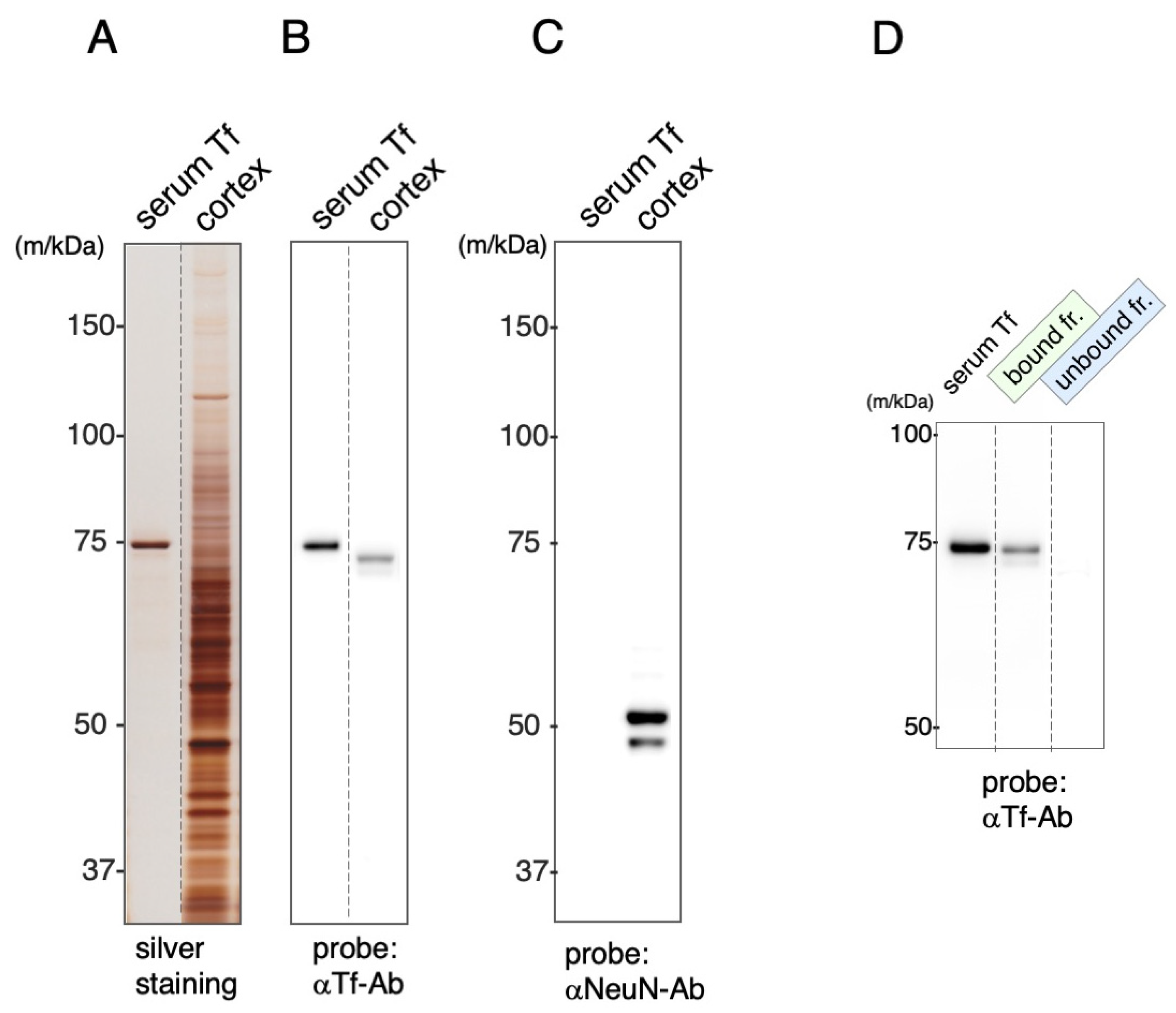 Metabolites 12 00594 g006