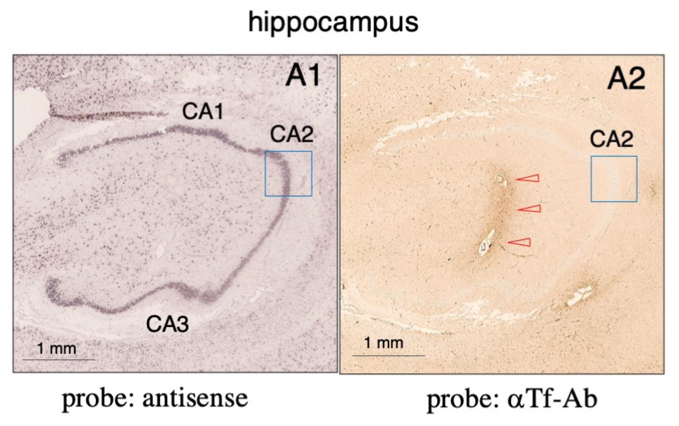 Metabolites 12 00594 g008a