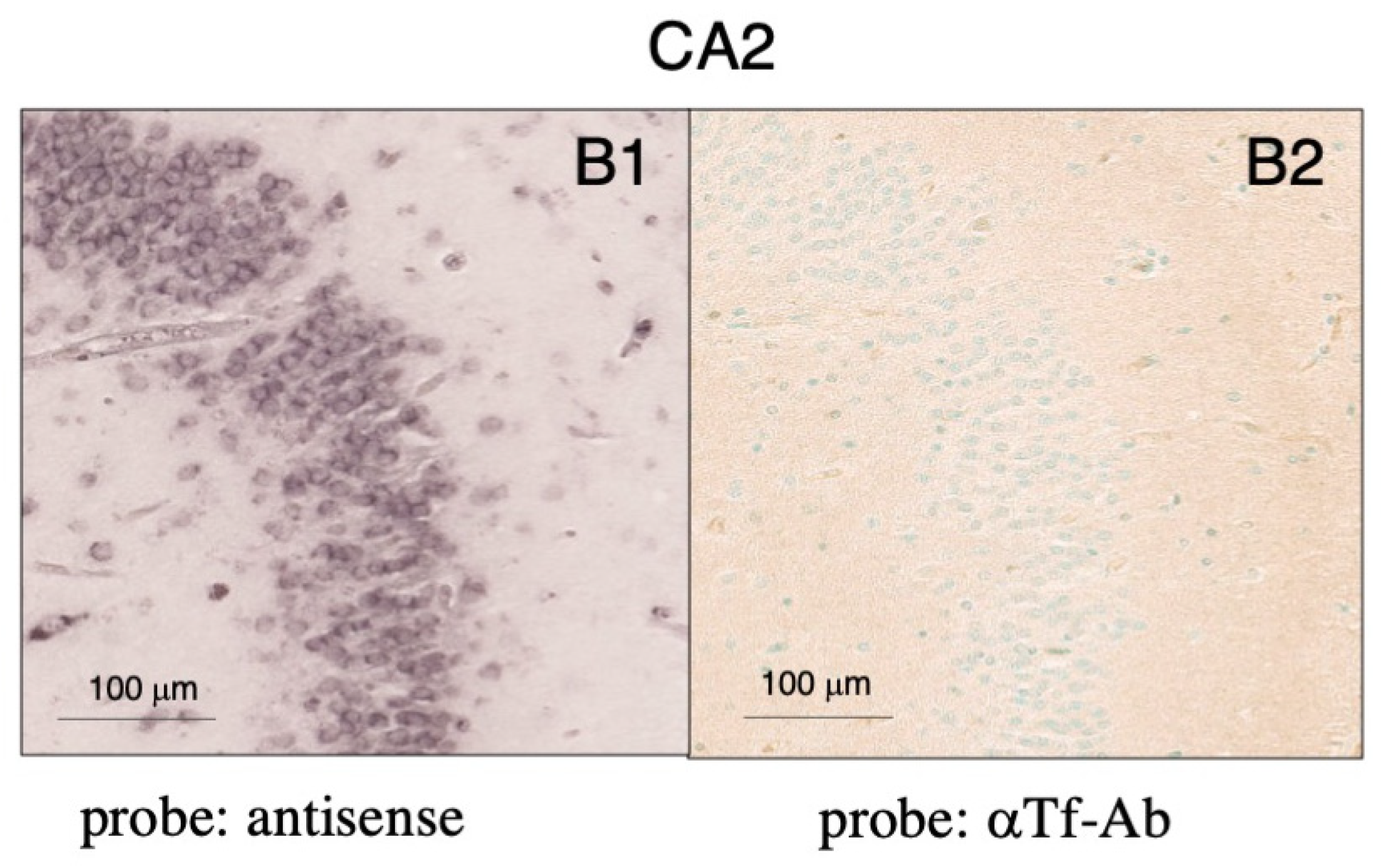 Metabolites 12 00594 g008b