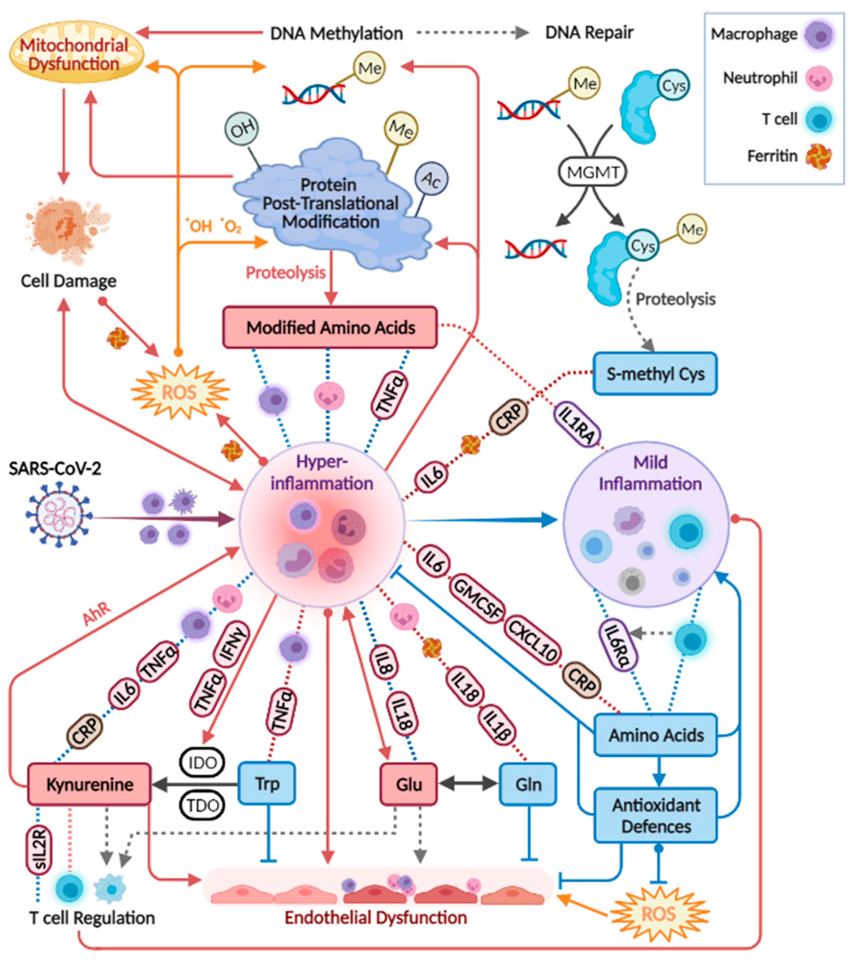 Metabolites 12 00618 g007 Metabolites 12 00618 g007