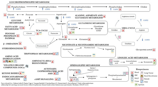 Metabolites 12 00621 g001 550