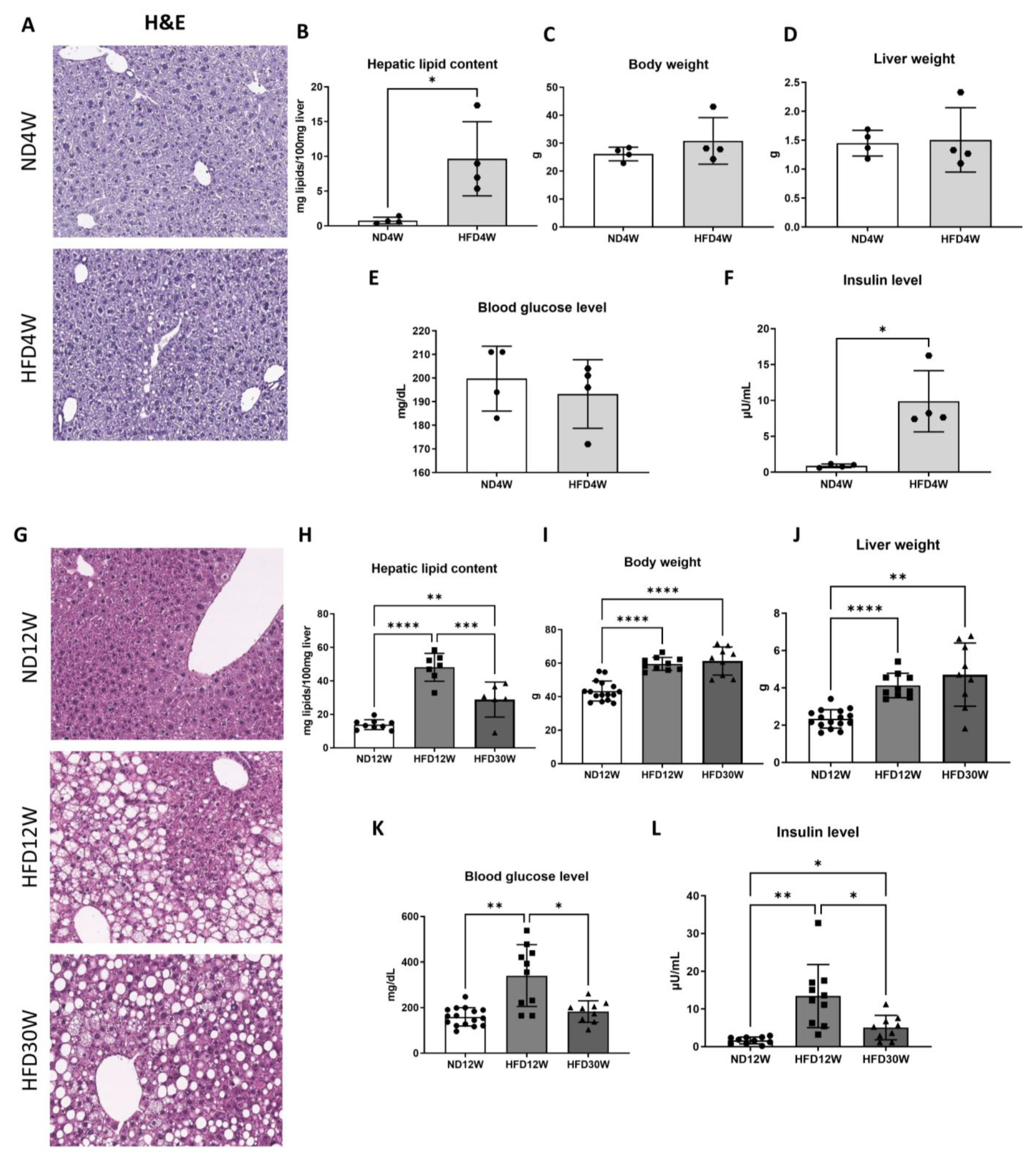Metabolites 12 00625 g001 Metabolites 12 00625 g001