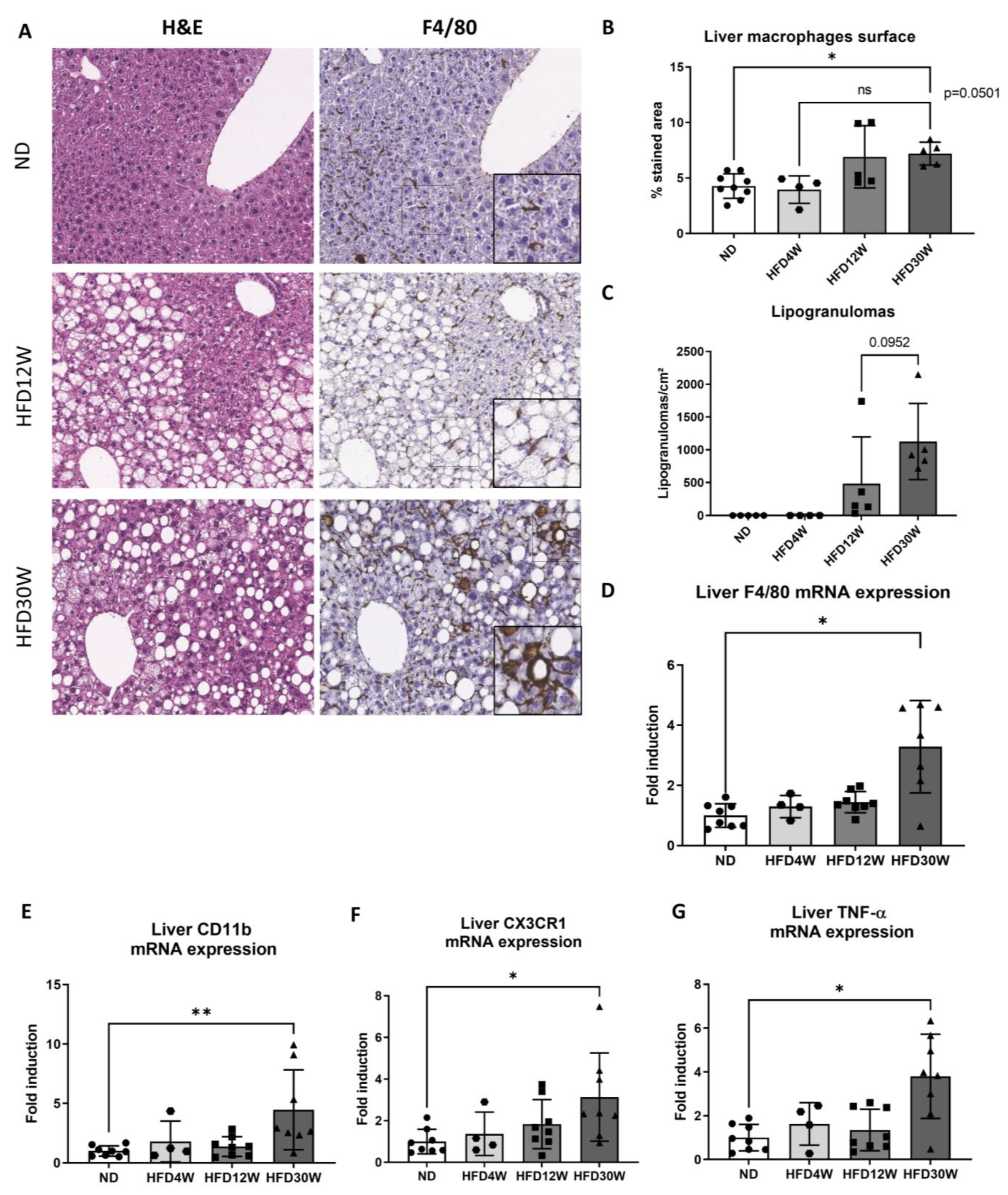Metabolites 12 00625 g002 Metabolites 12 00625 g002