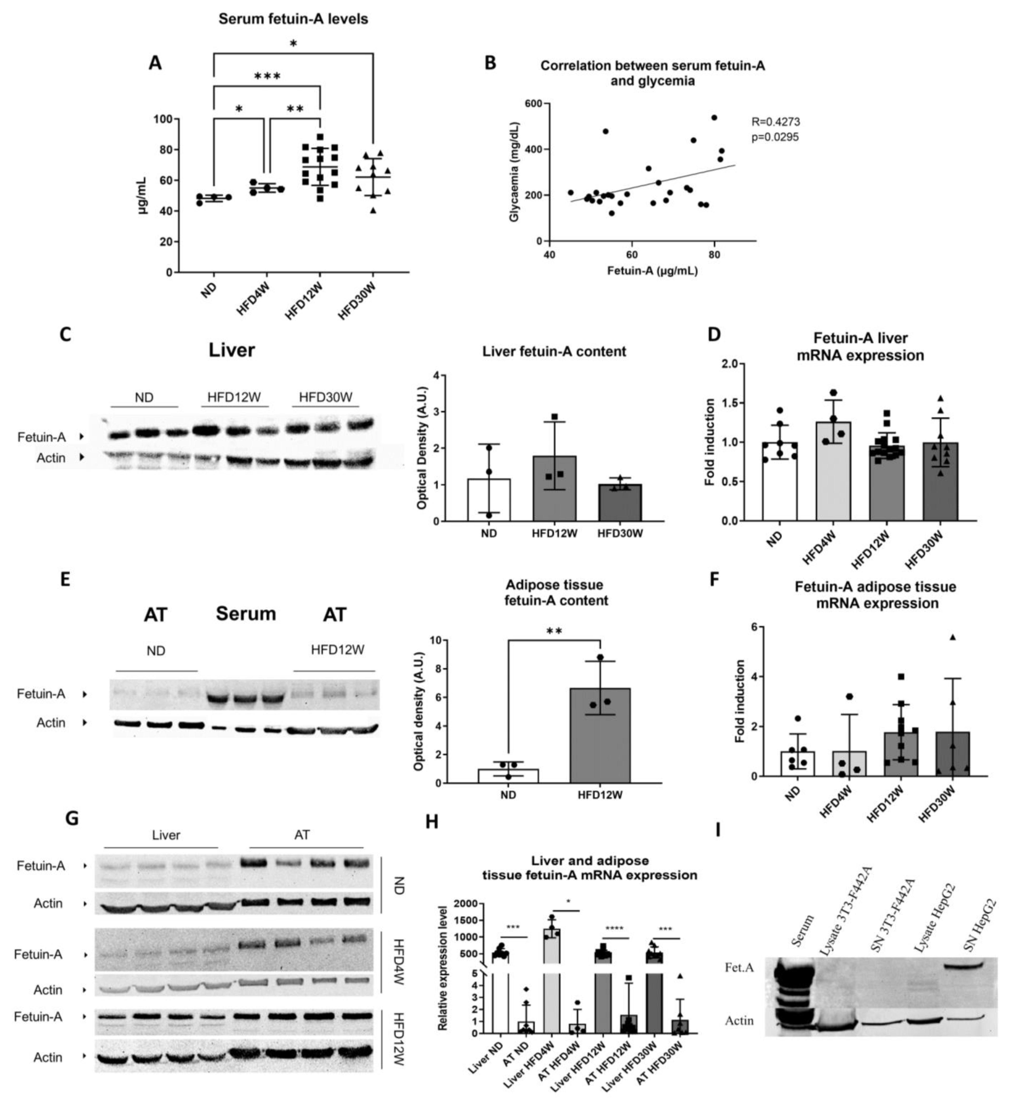 Metabolites 12 00625 g003 Metabolites 12 00625 g003